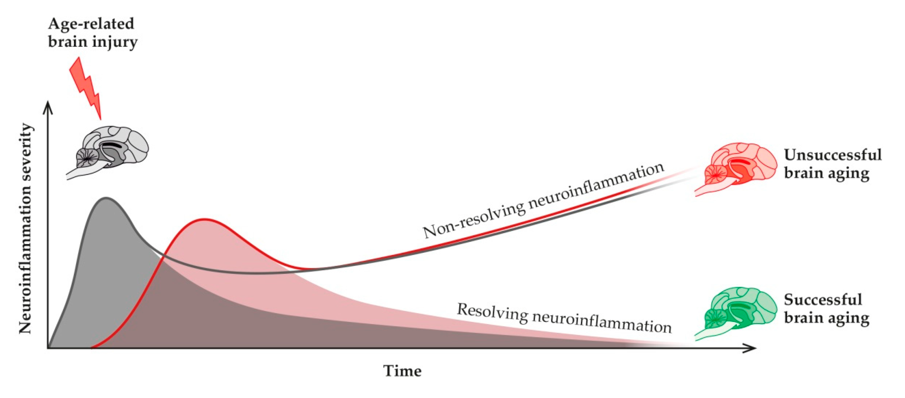 Animals 11 02584 g003