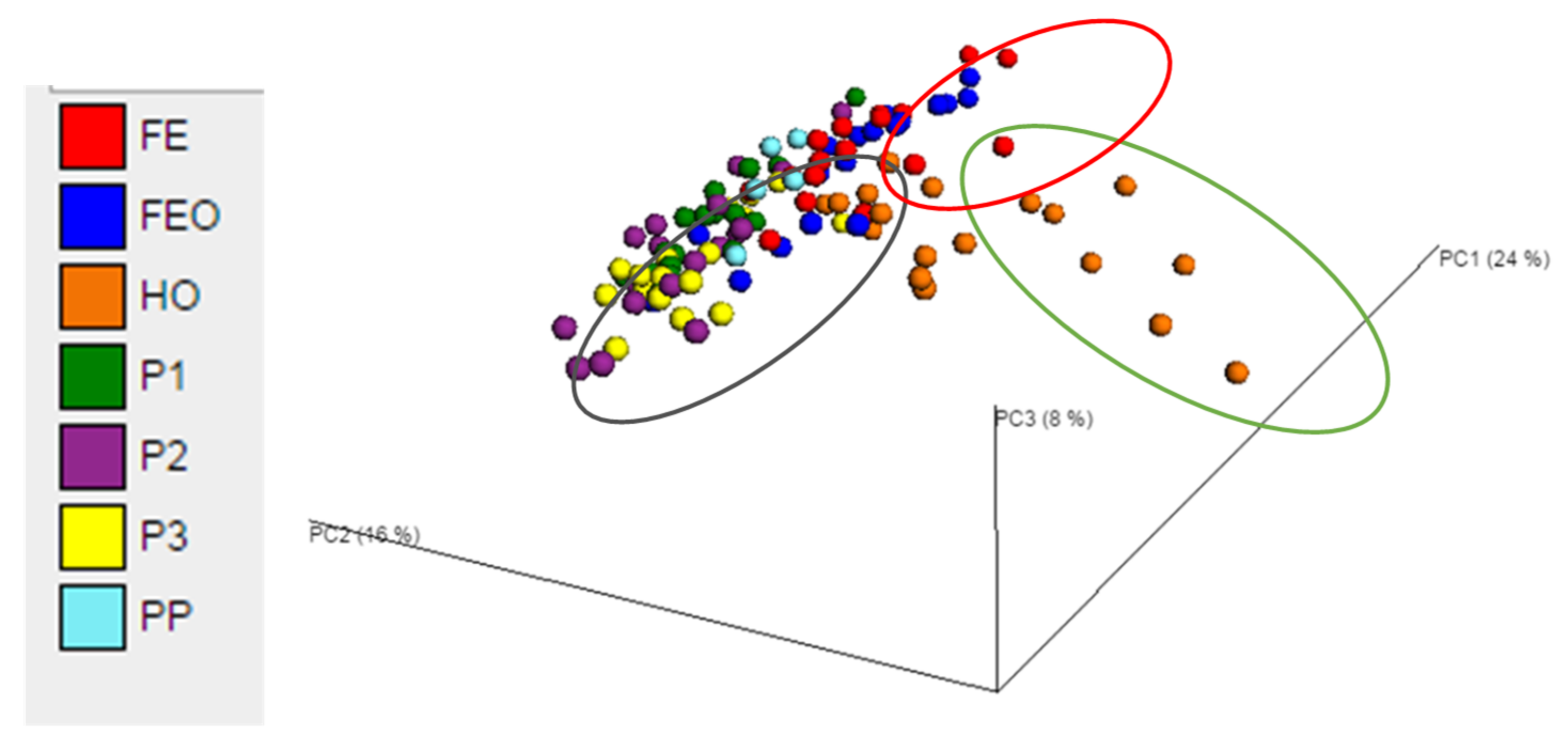 Animals 11 02611 g002