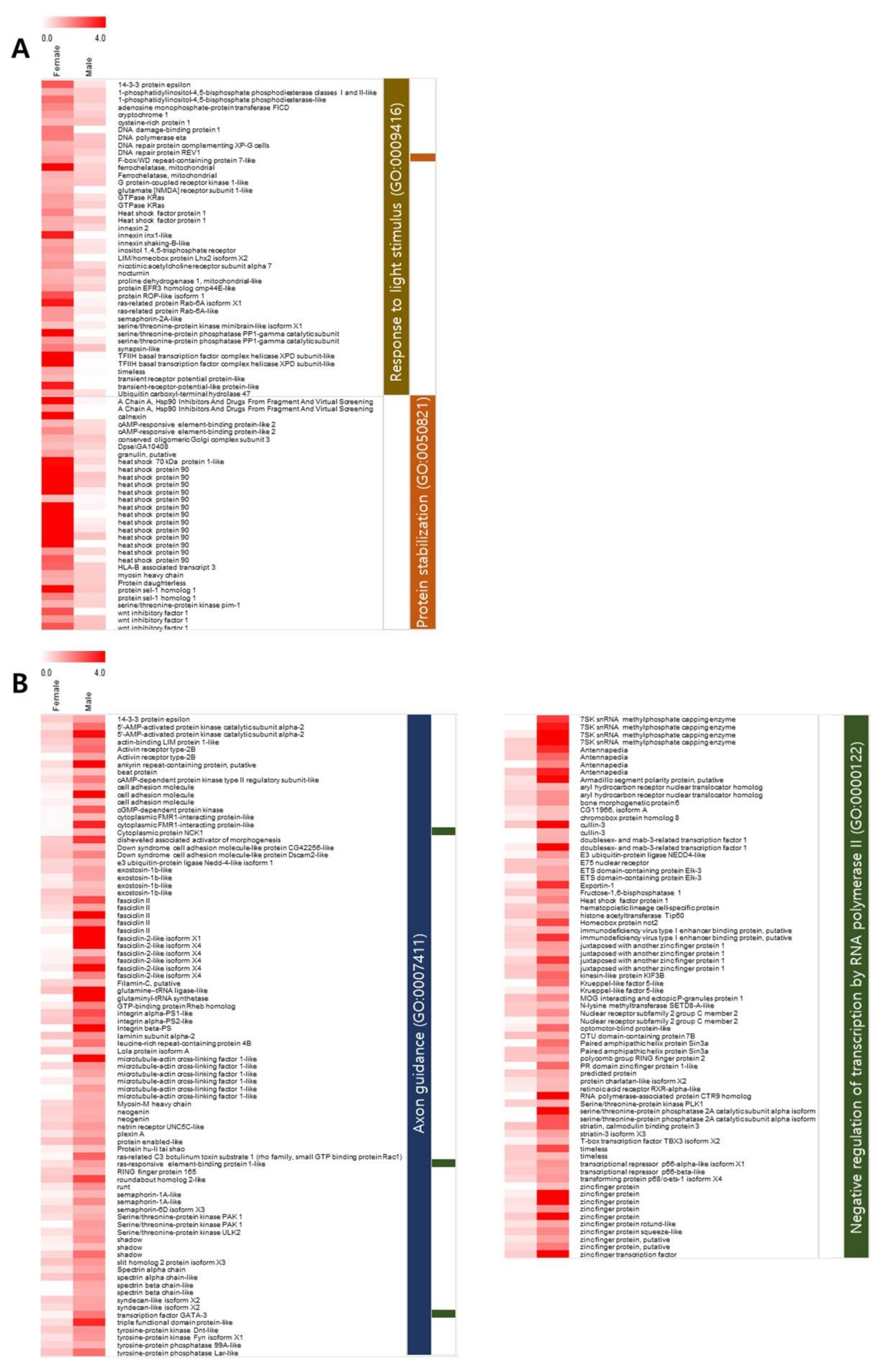 Animals 11 02630 g004