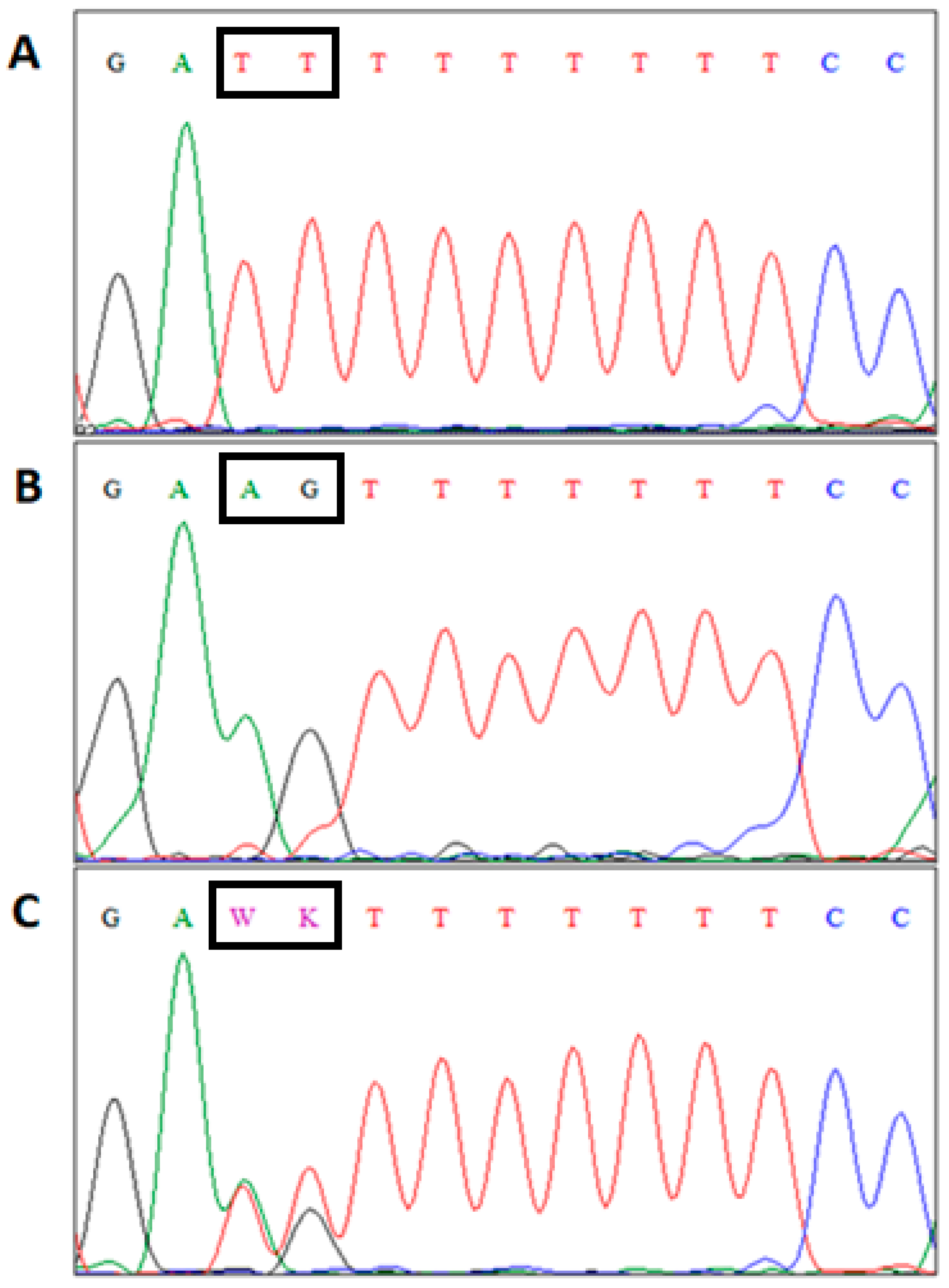 Animals 11 02632 g001