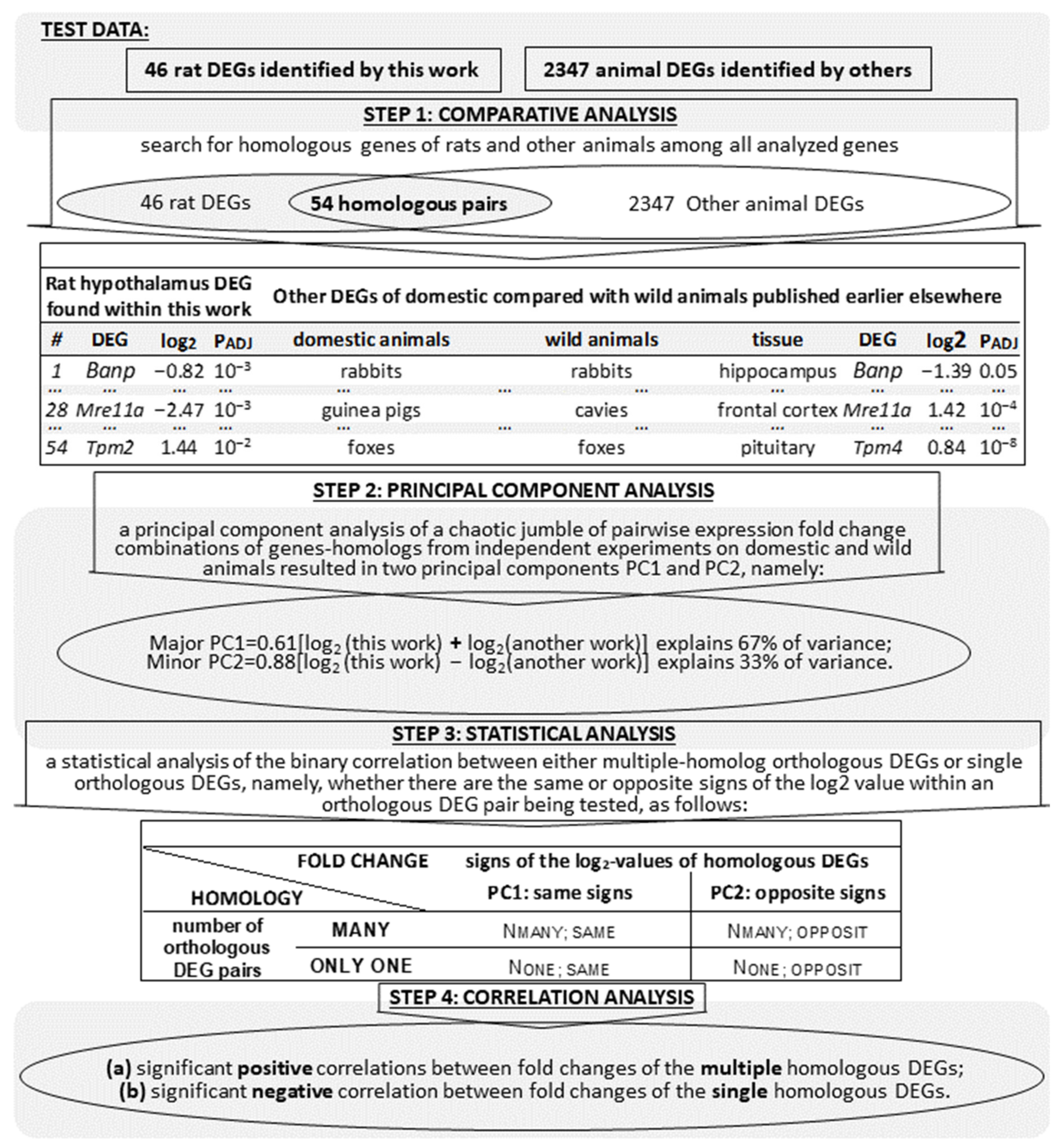 Animals 11 02667 g001