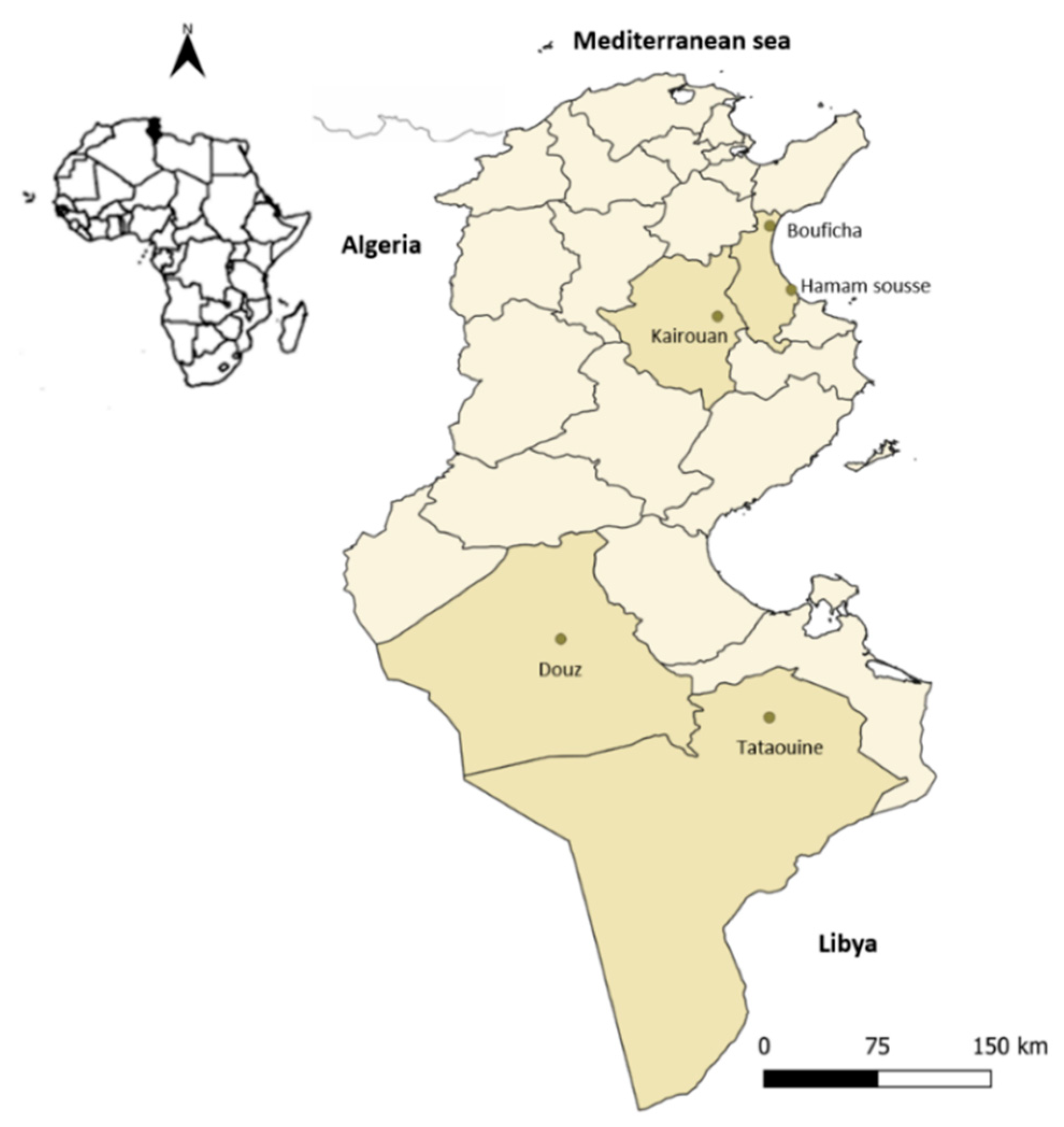 Tunisie meca transmission