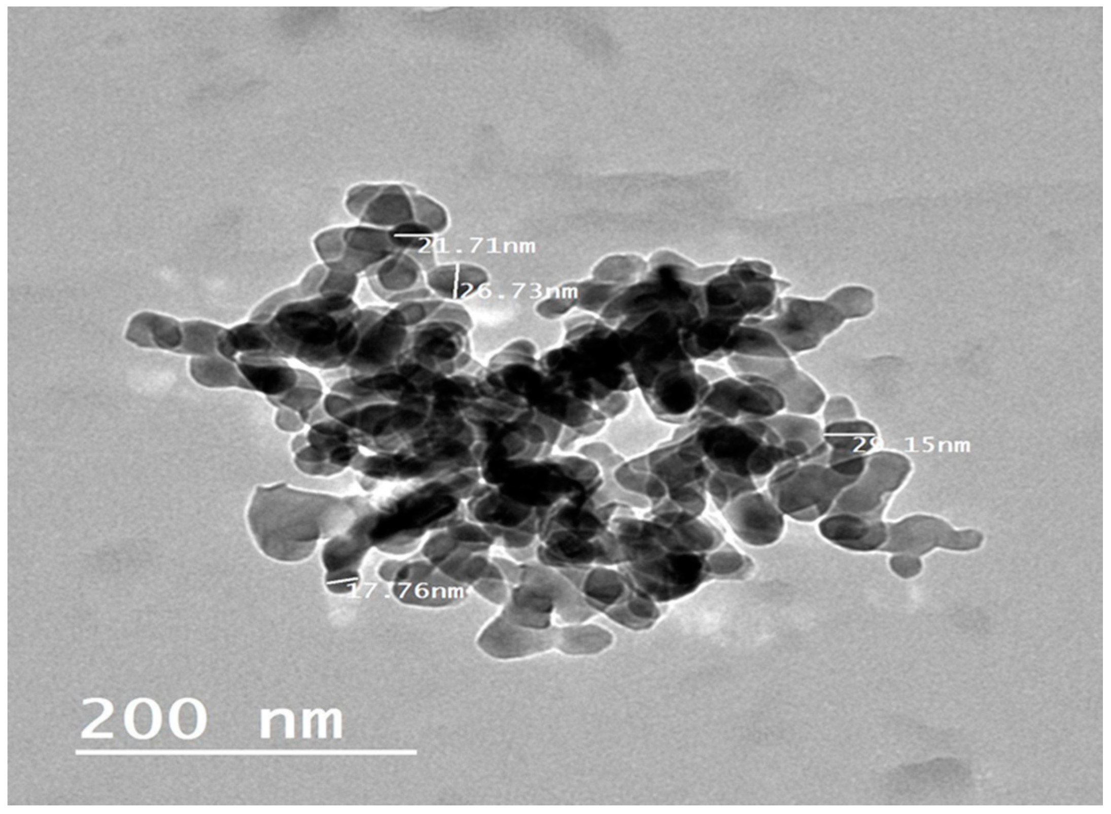 Animals 11 02842 g002