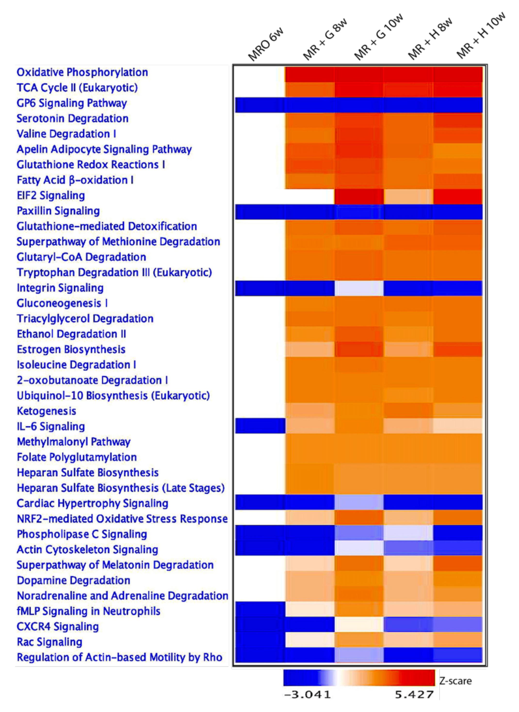 Animals 11 02870 g005