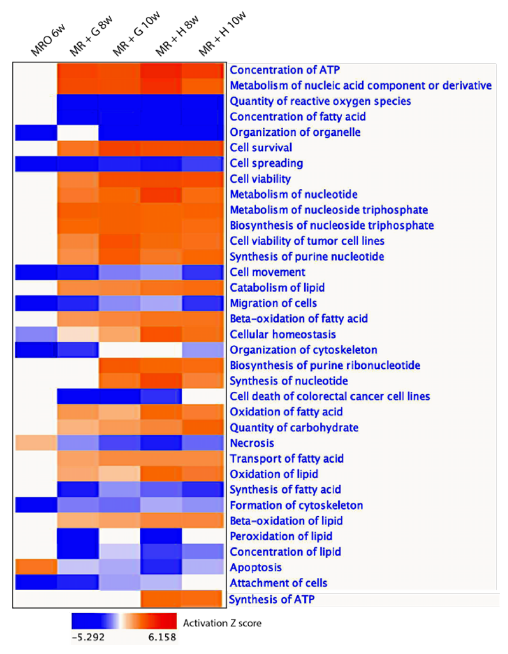 Animals 11 02870 g007