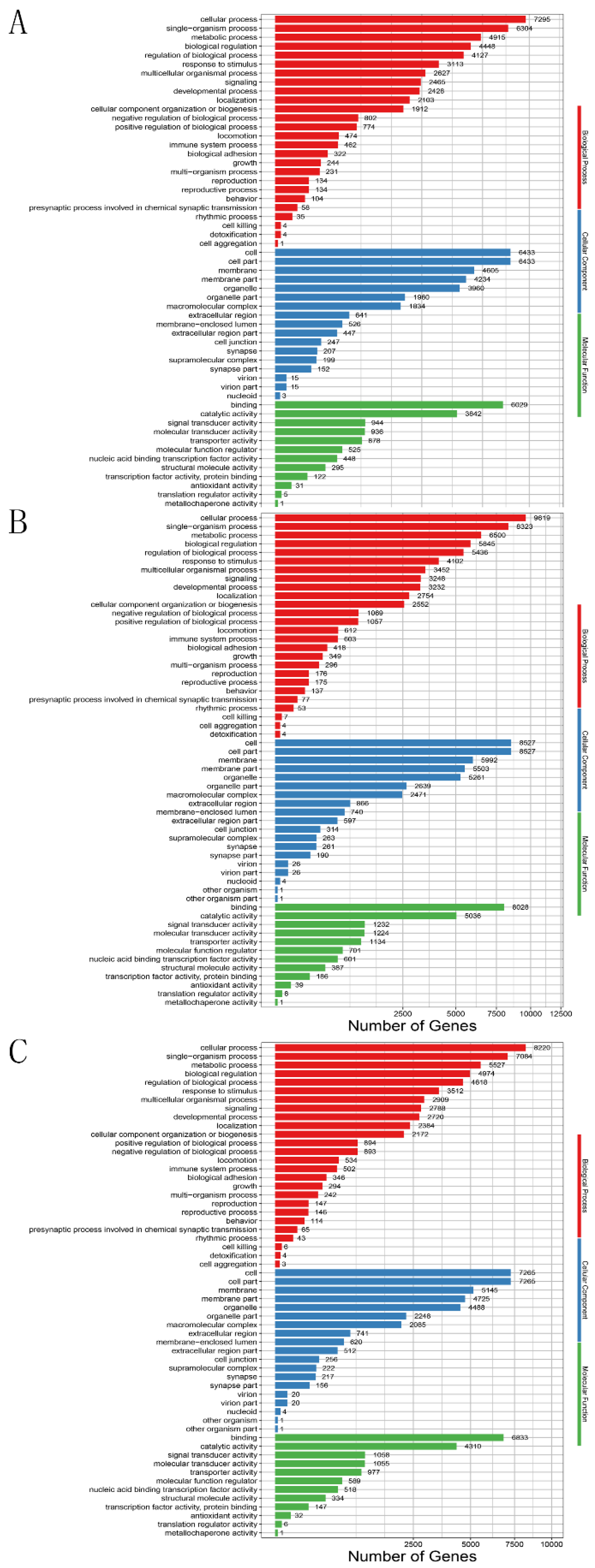 Animals 11 02917 g003