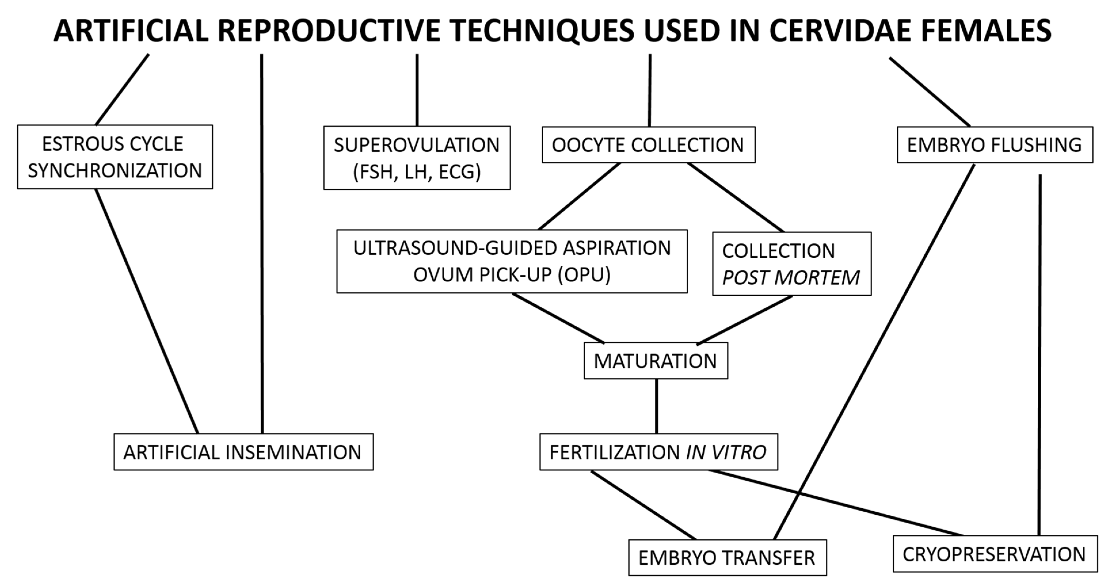 Animals 11 02933 g002