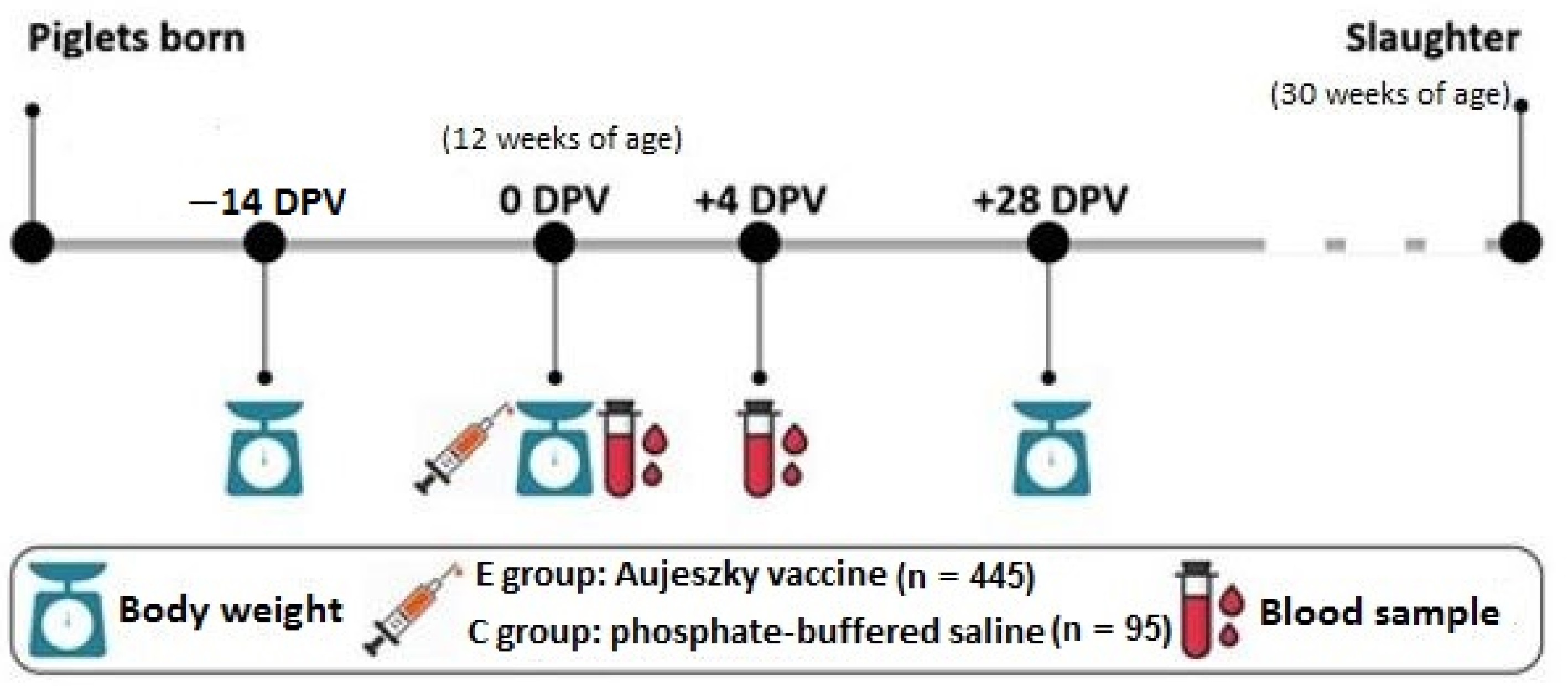 Animals 11 02970 g001
