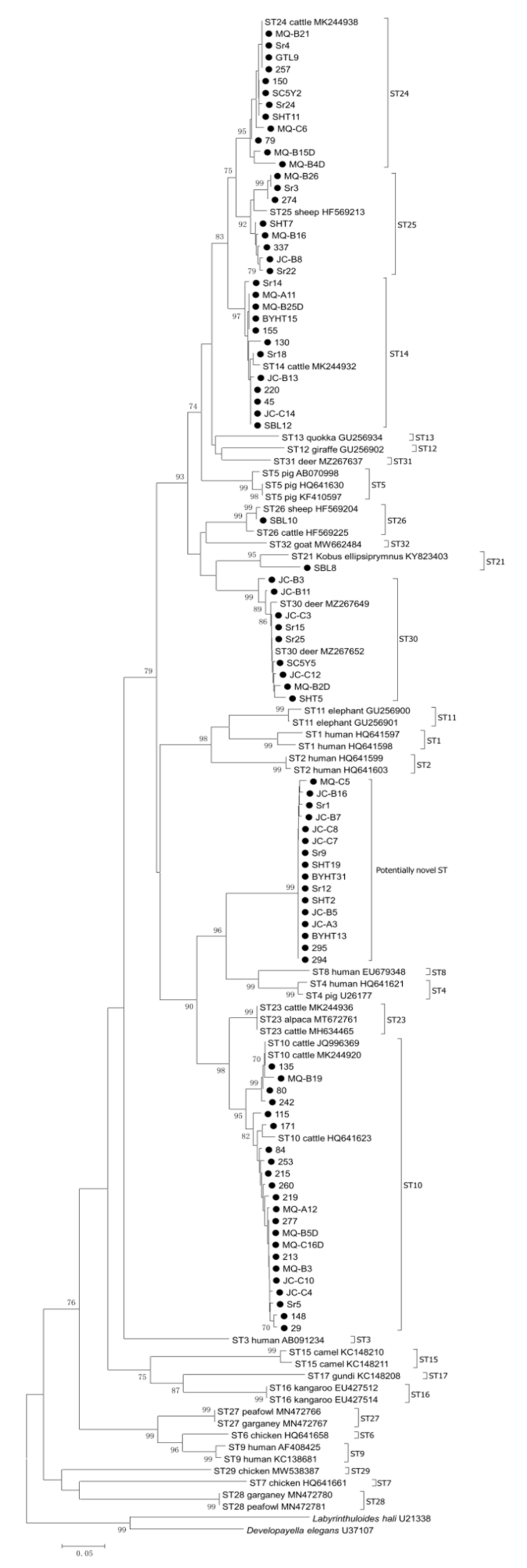 Animals 11 03016 g002
