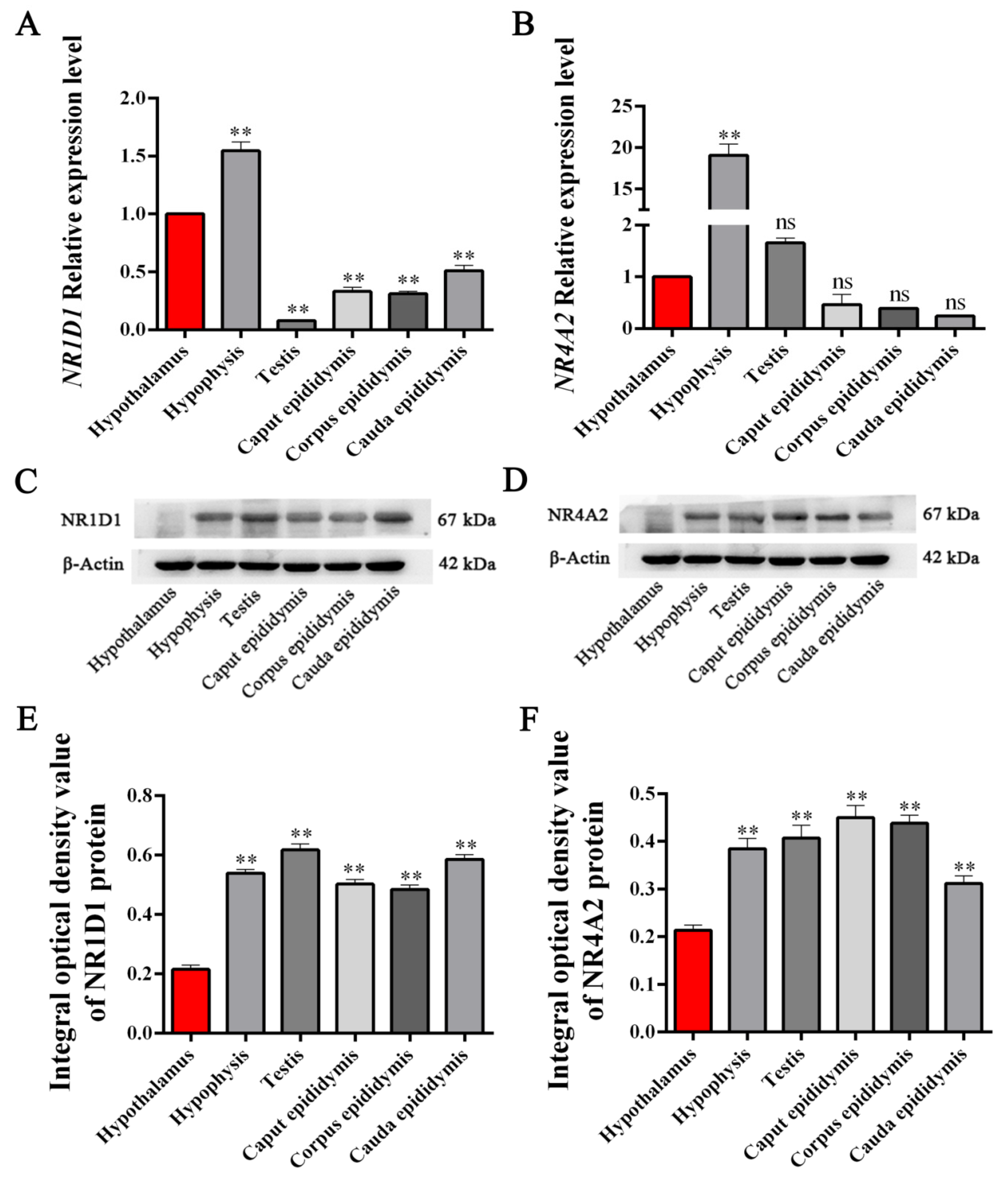 Animals 11 03117 g004
