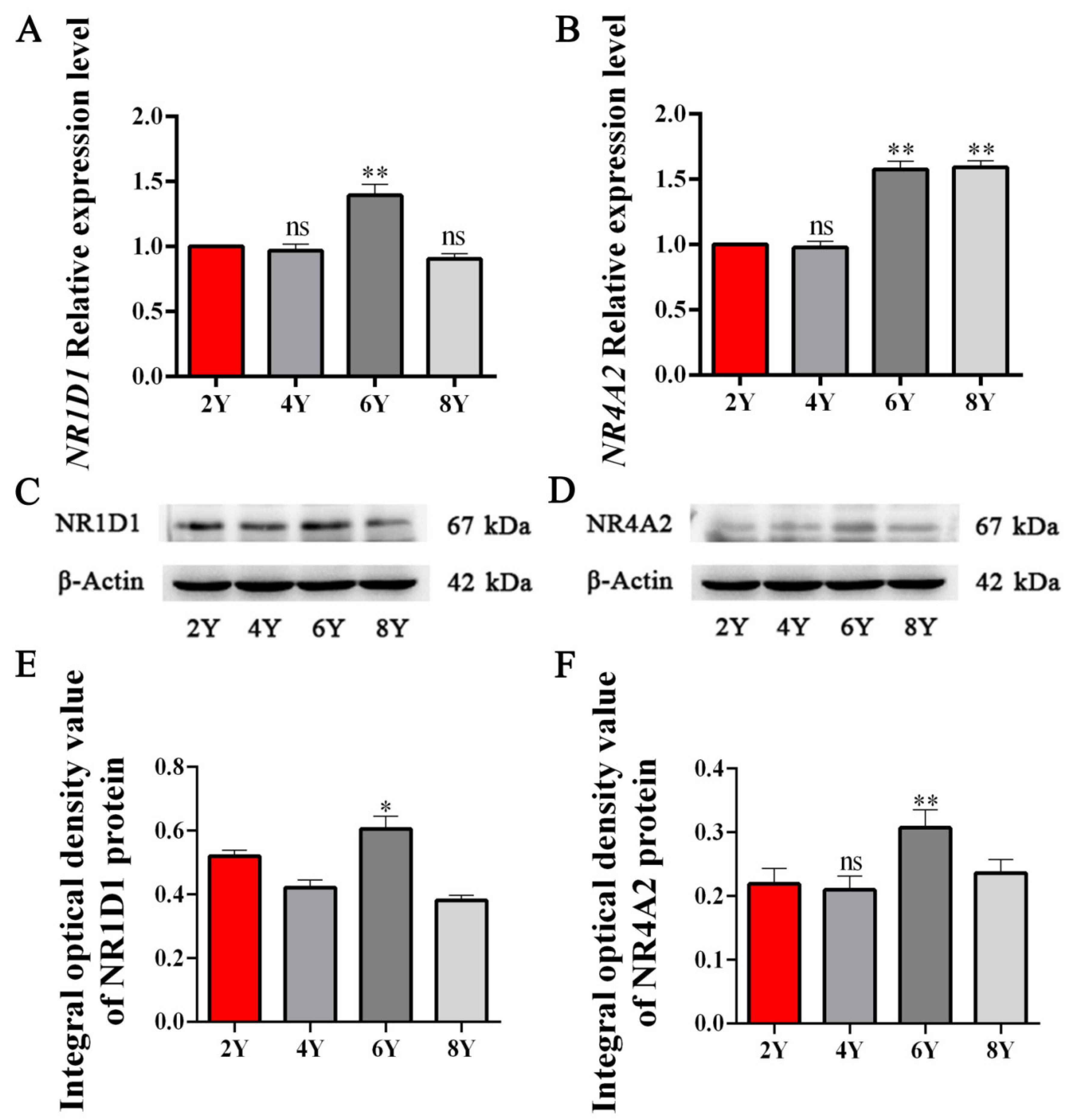 Animals 11 03117 g005