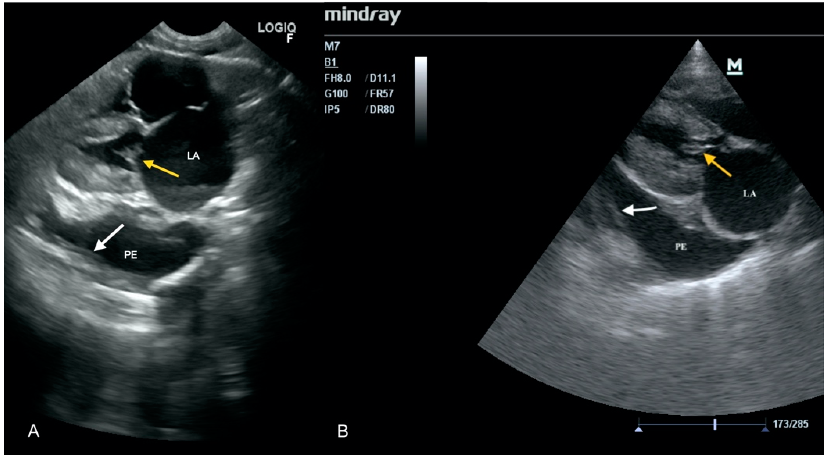 Animals 11 03162 g002 Animals 11 03162 g002