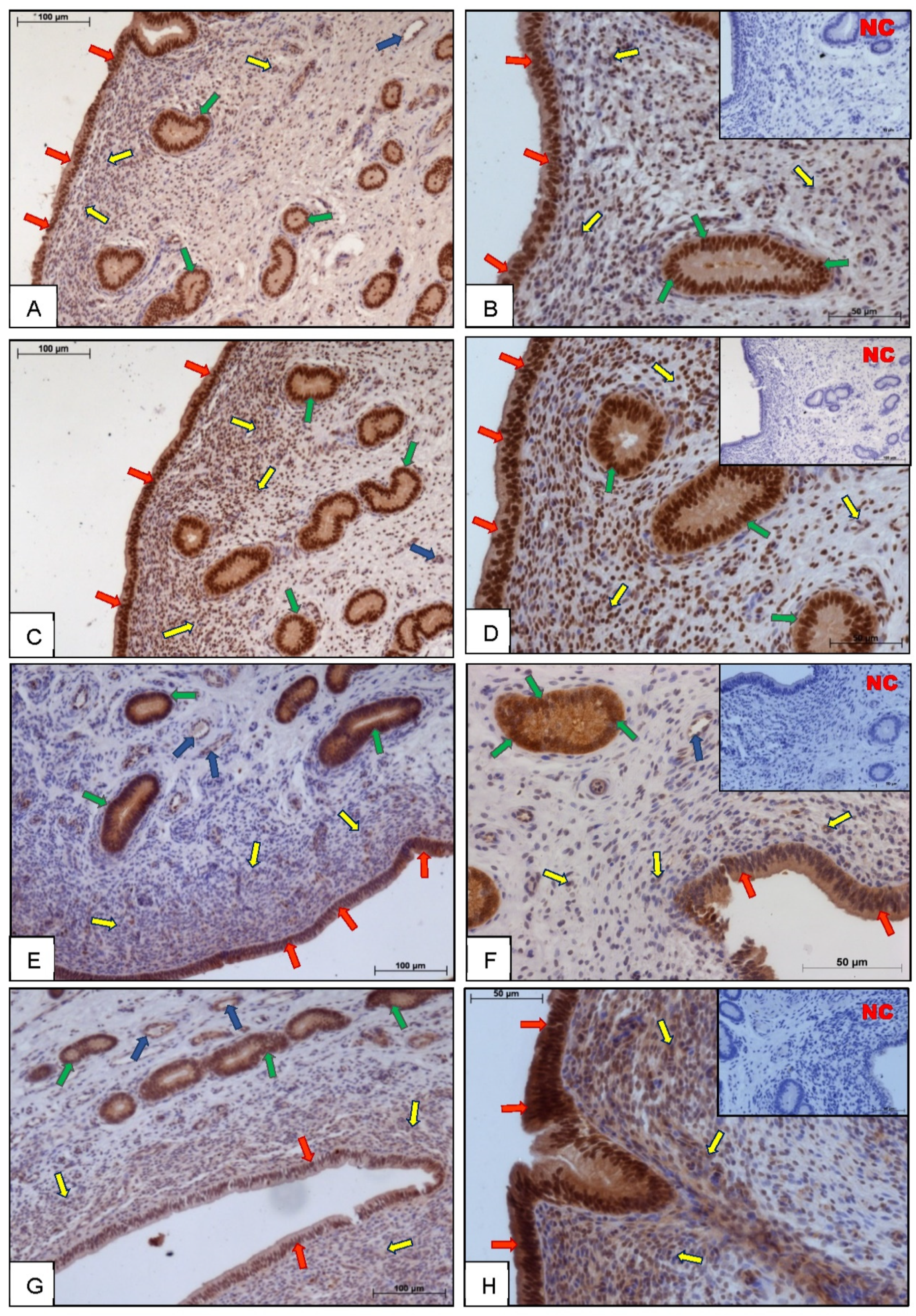 Animals 11 03217 g001