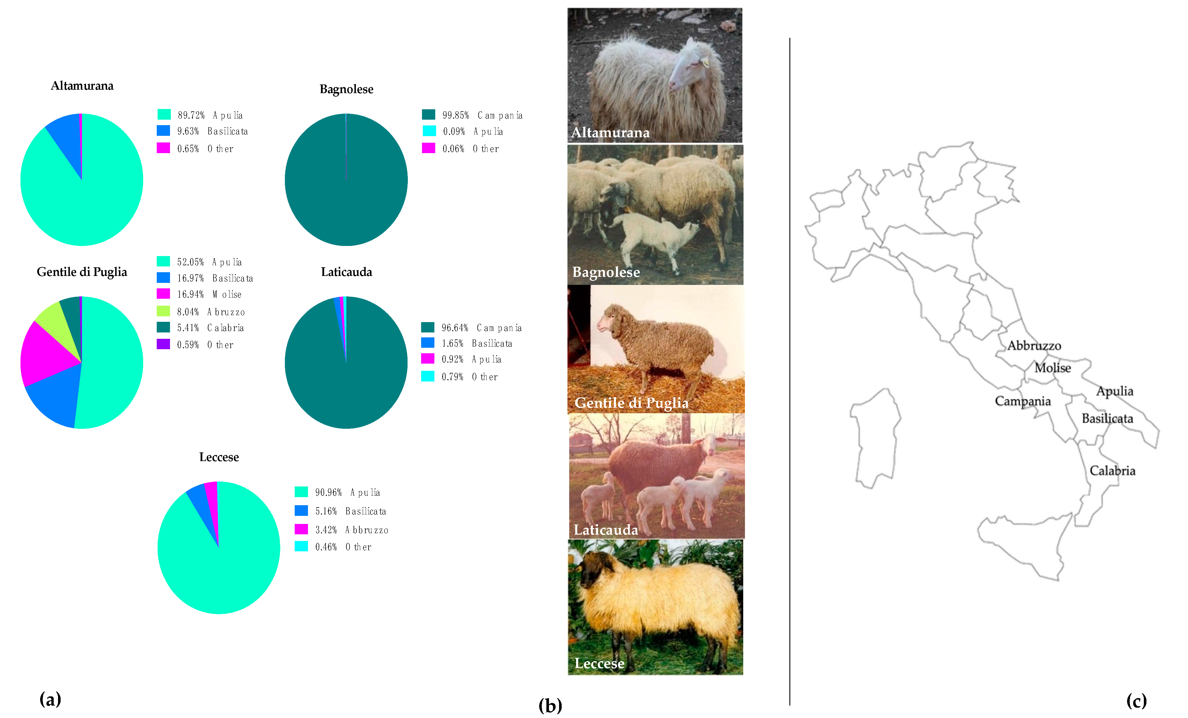 Animals | Free Full-Text | Lamb Meat Quality and Carcass Evaluation of Five  Autochthonous Sheep Breeds: Towards Biodiversity Protection