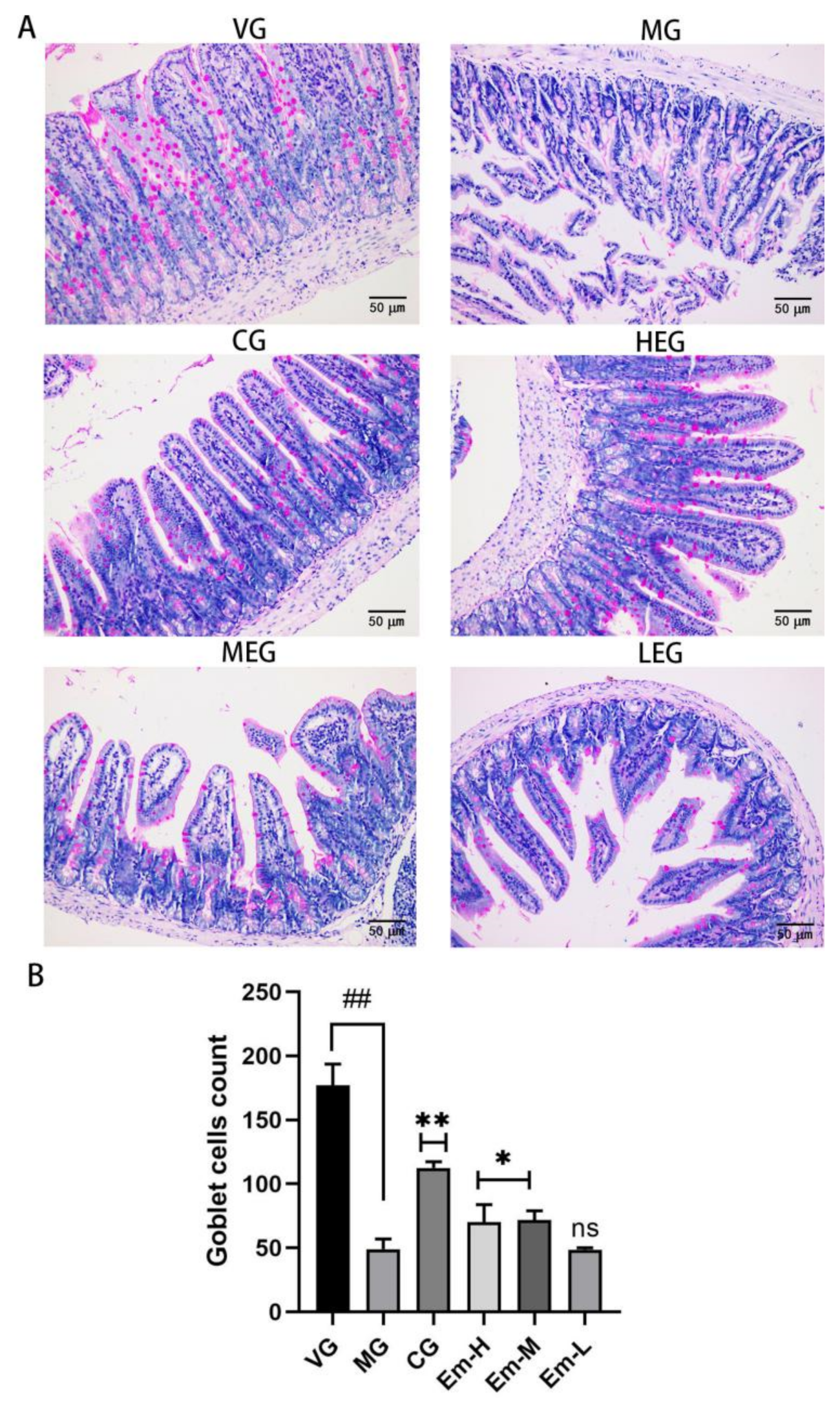 Animals 11 03314 g004