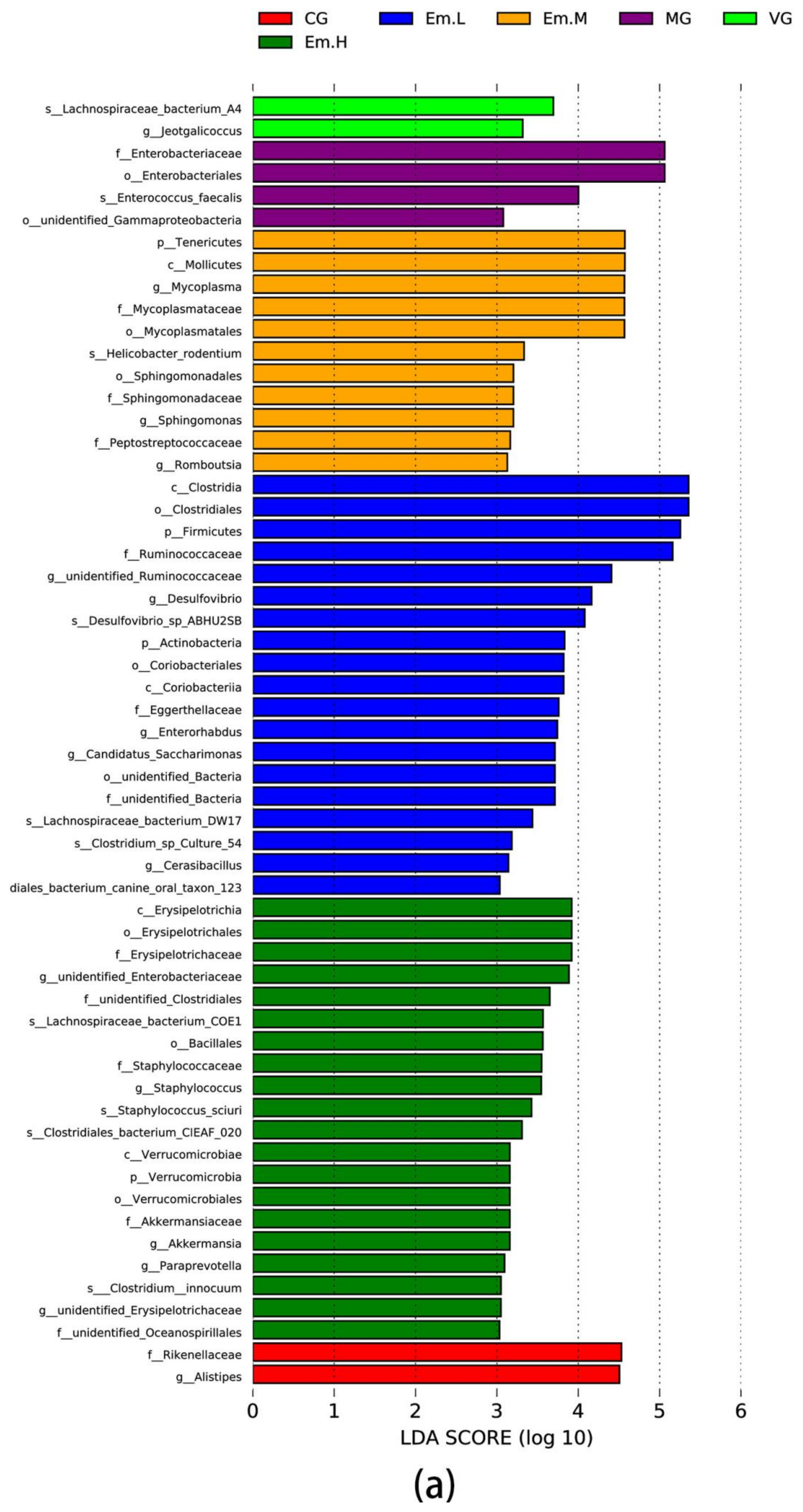 Animals 11 03314 g007a