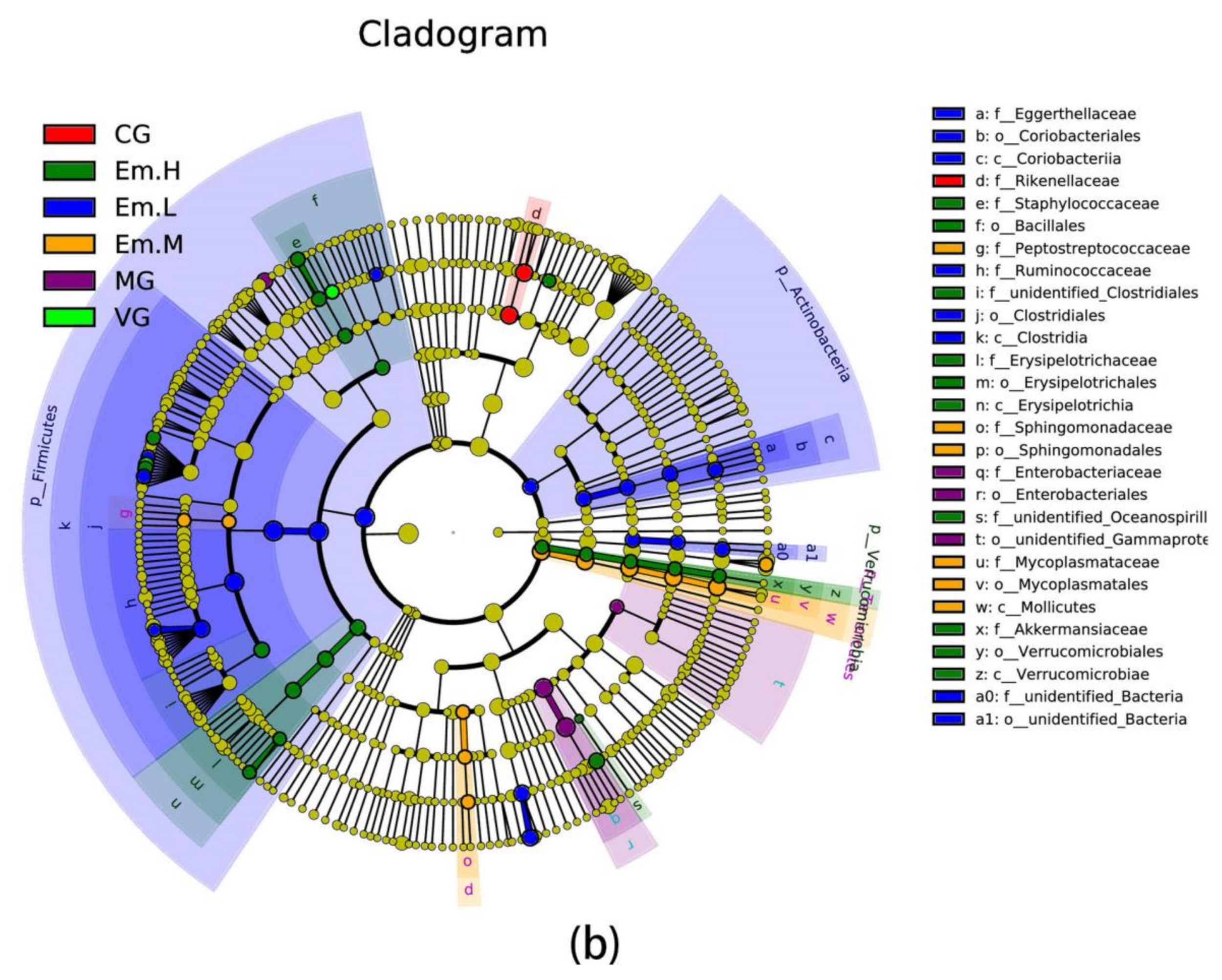 Animals 11 03314 g007b