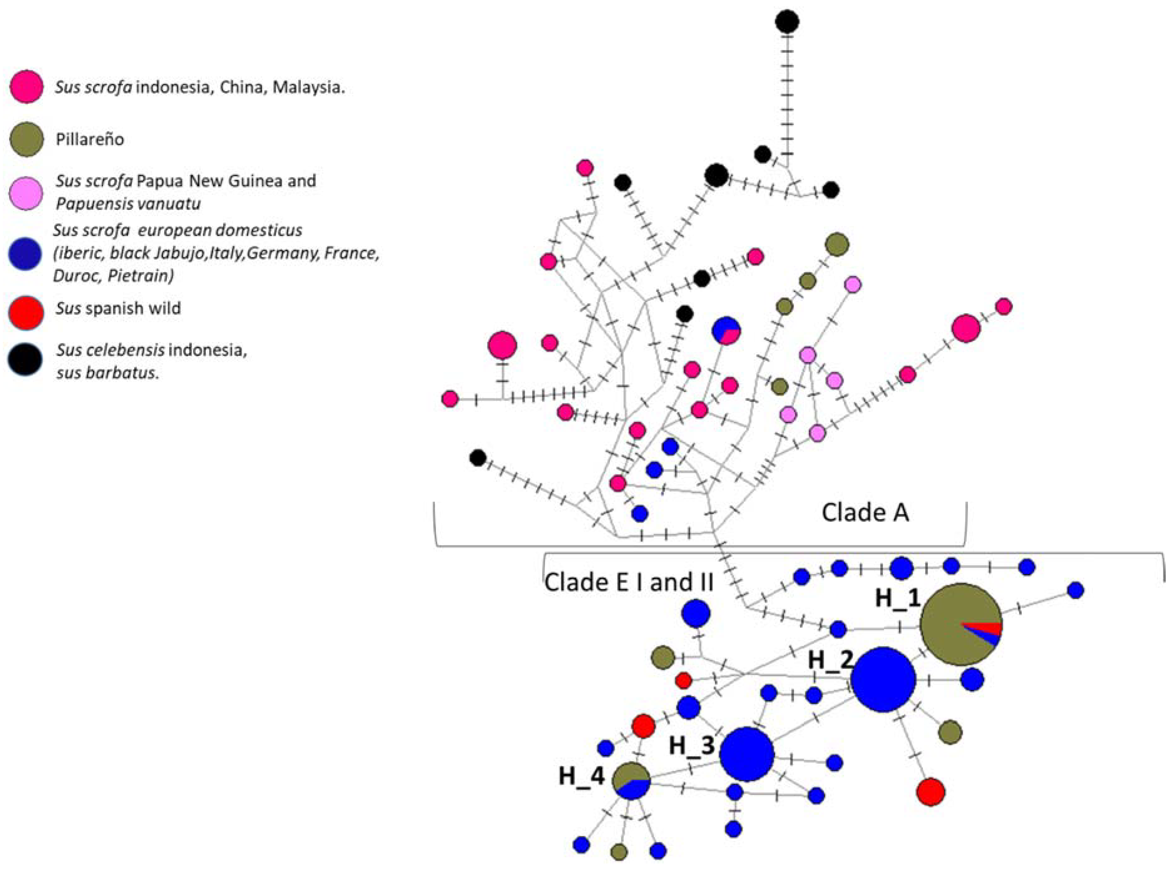 Animals 11 03322 g002