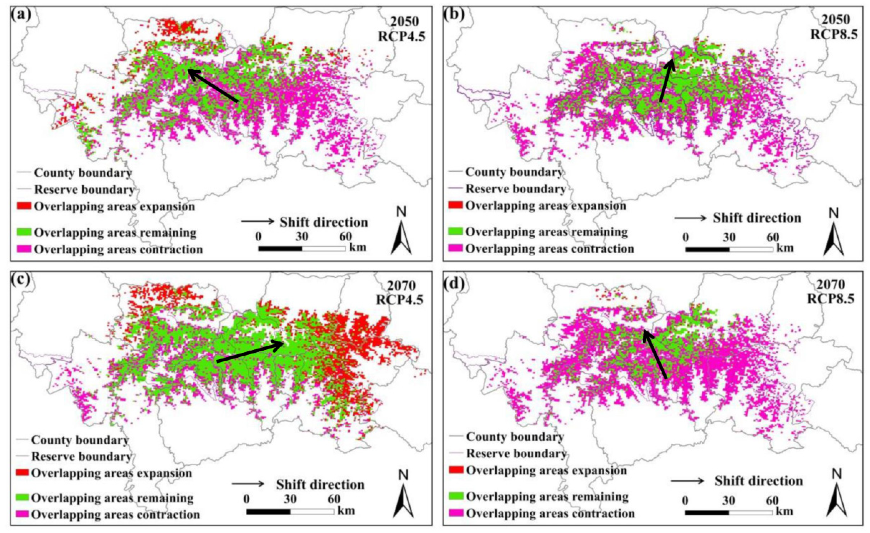 Animals 11 03332 g002