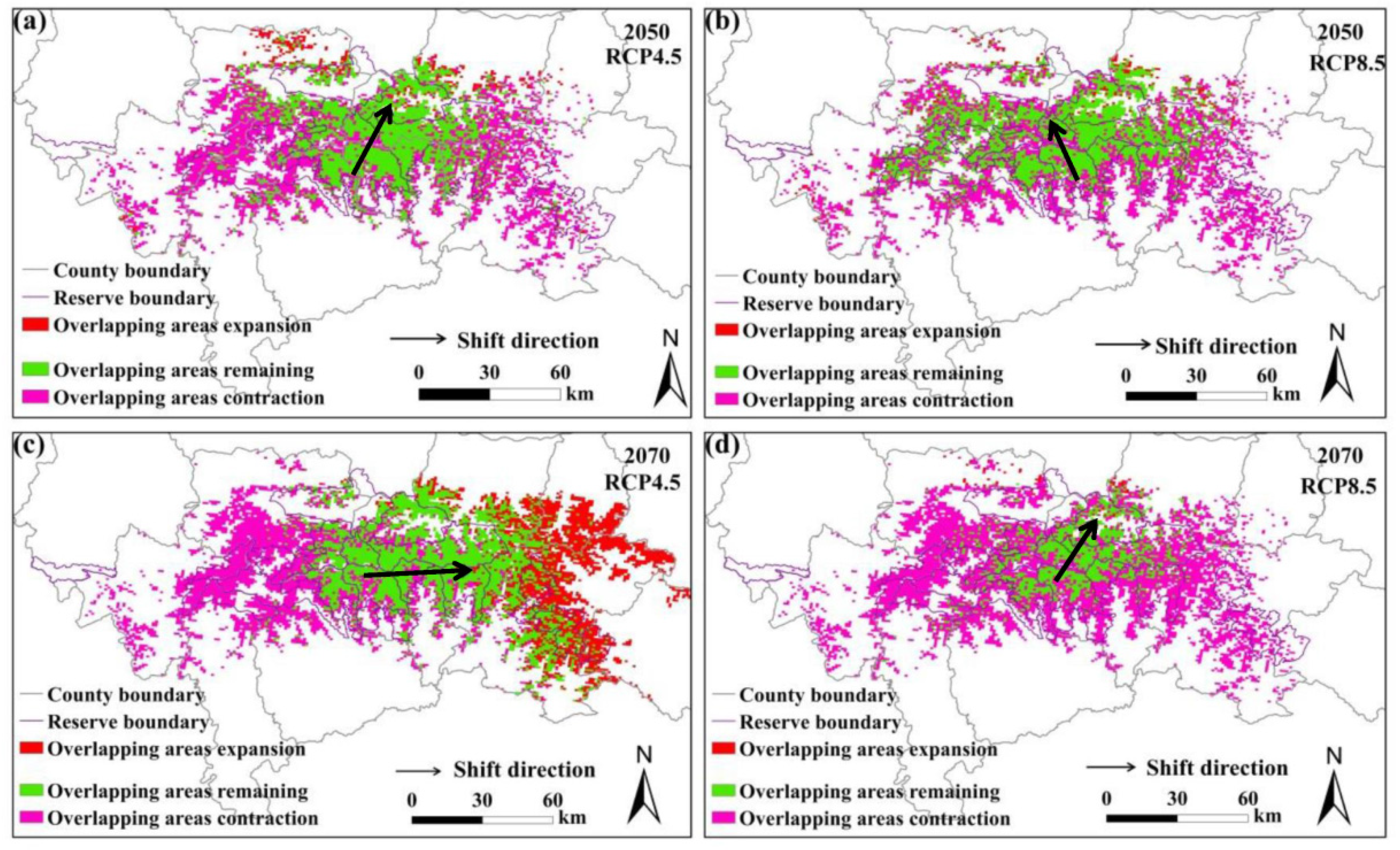 Animals 11 03332 g004