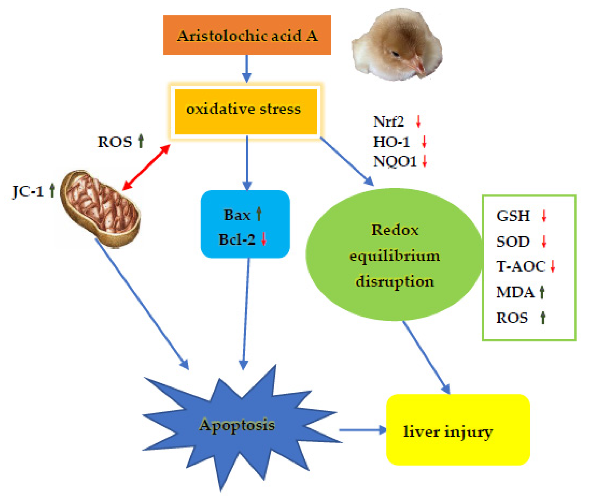 Animals 11 03437 g009