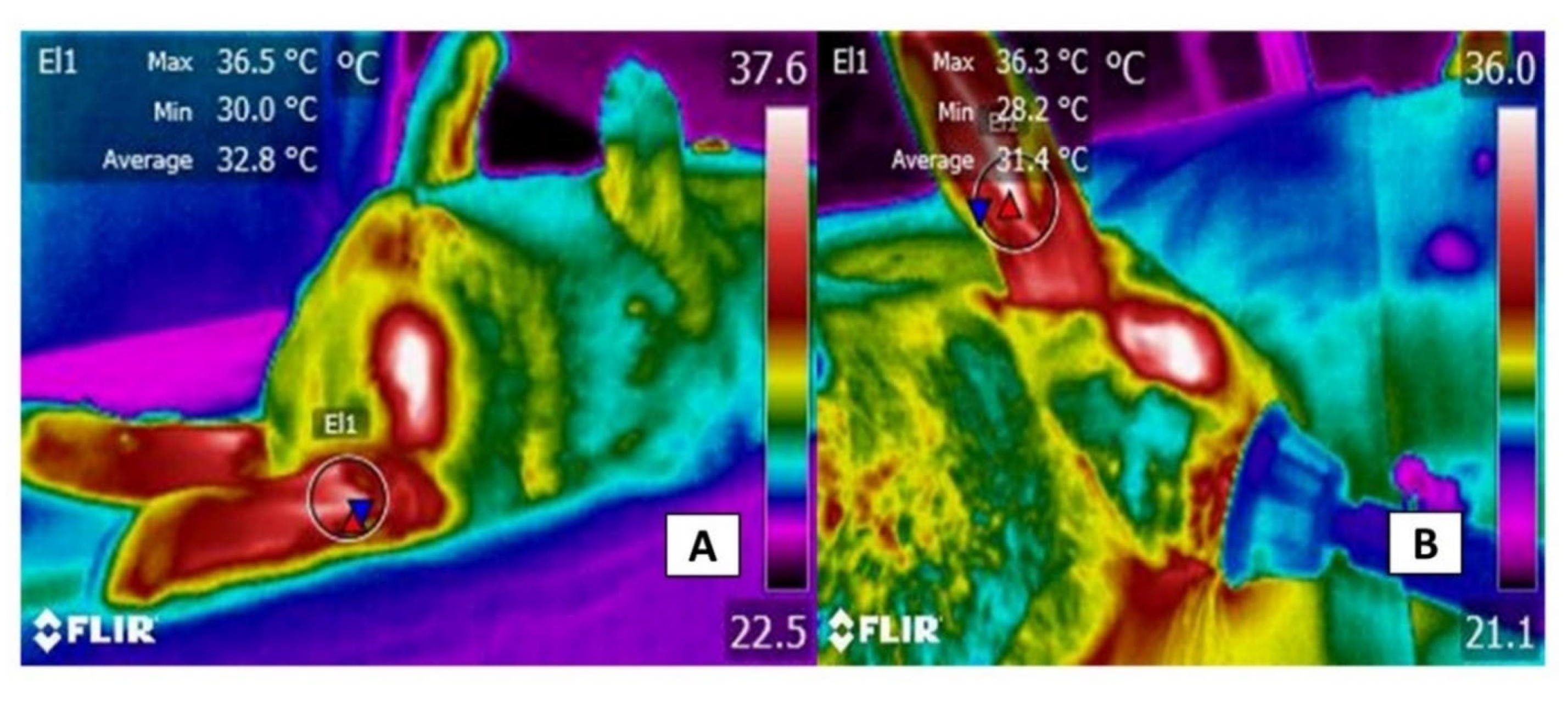 Animals 11 03448 g008