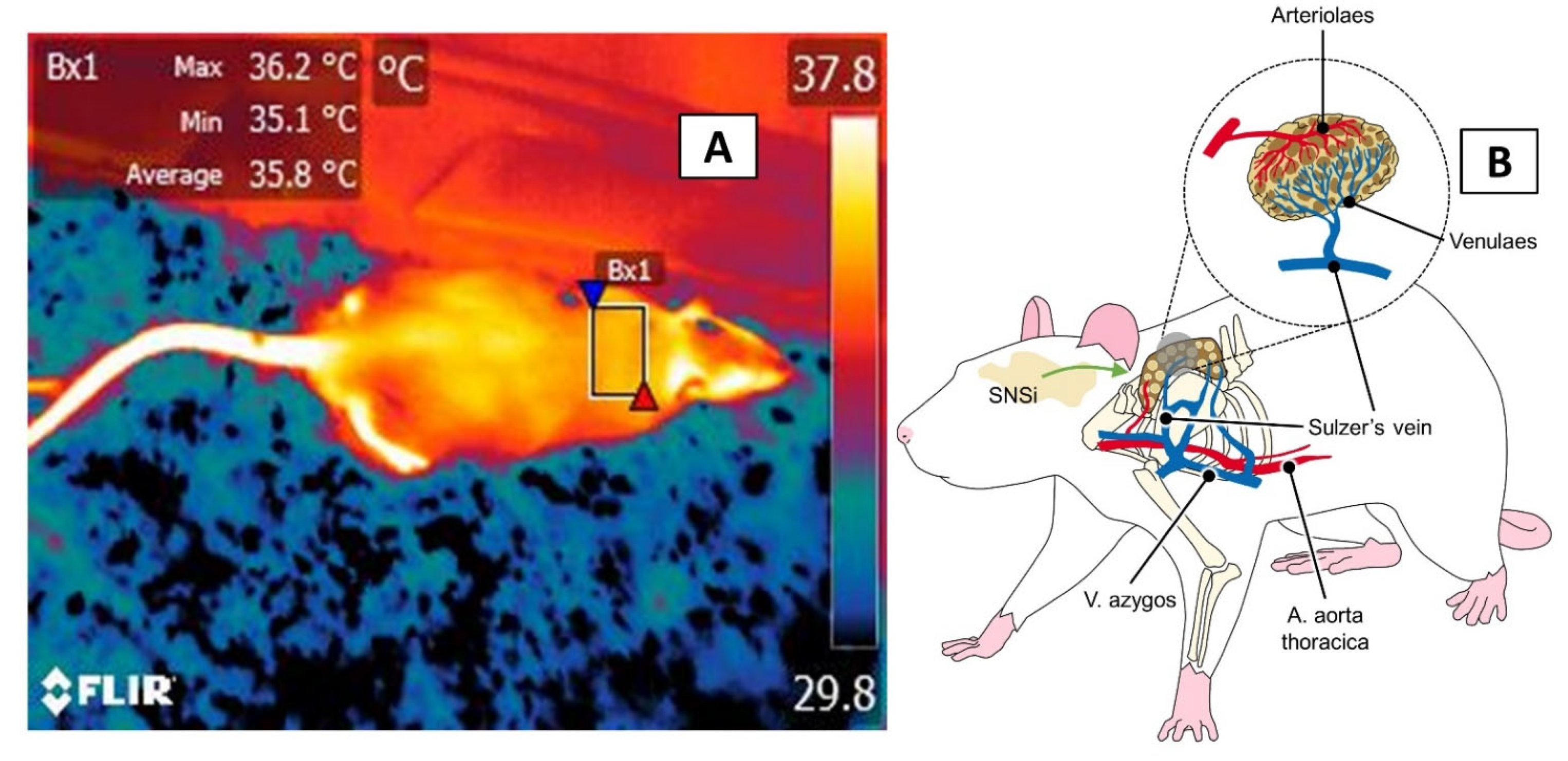 Animals 11 03448 g009
