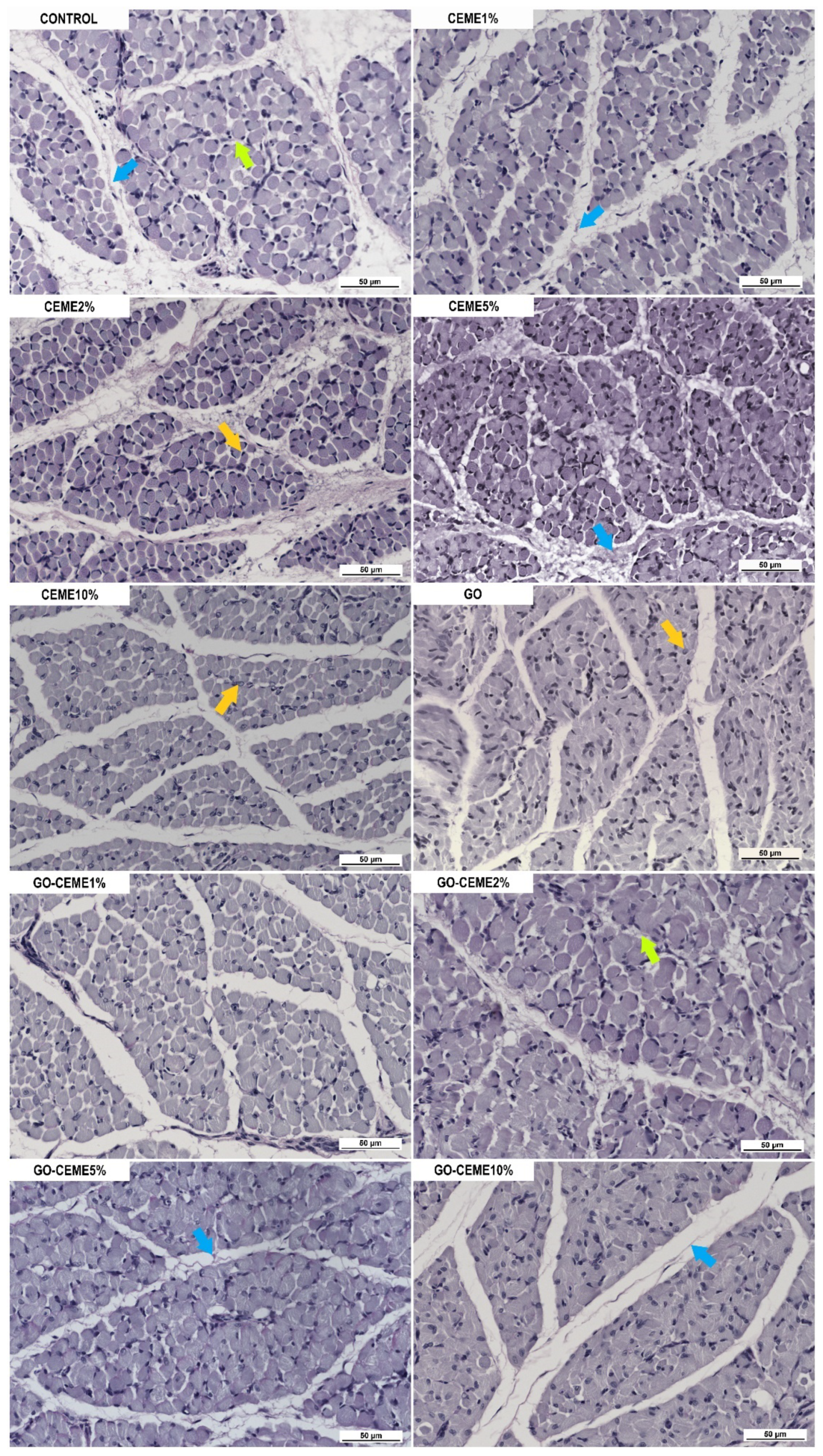 Animals 11 03467 g004