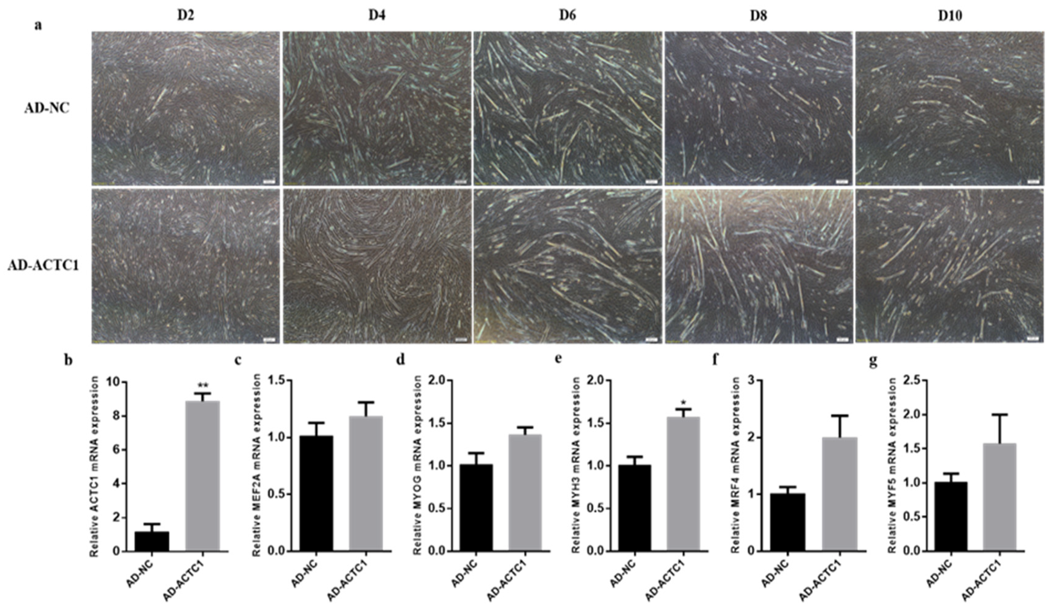 Animals 11 03468 g006