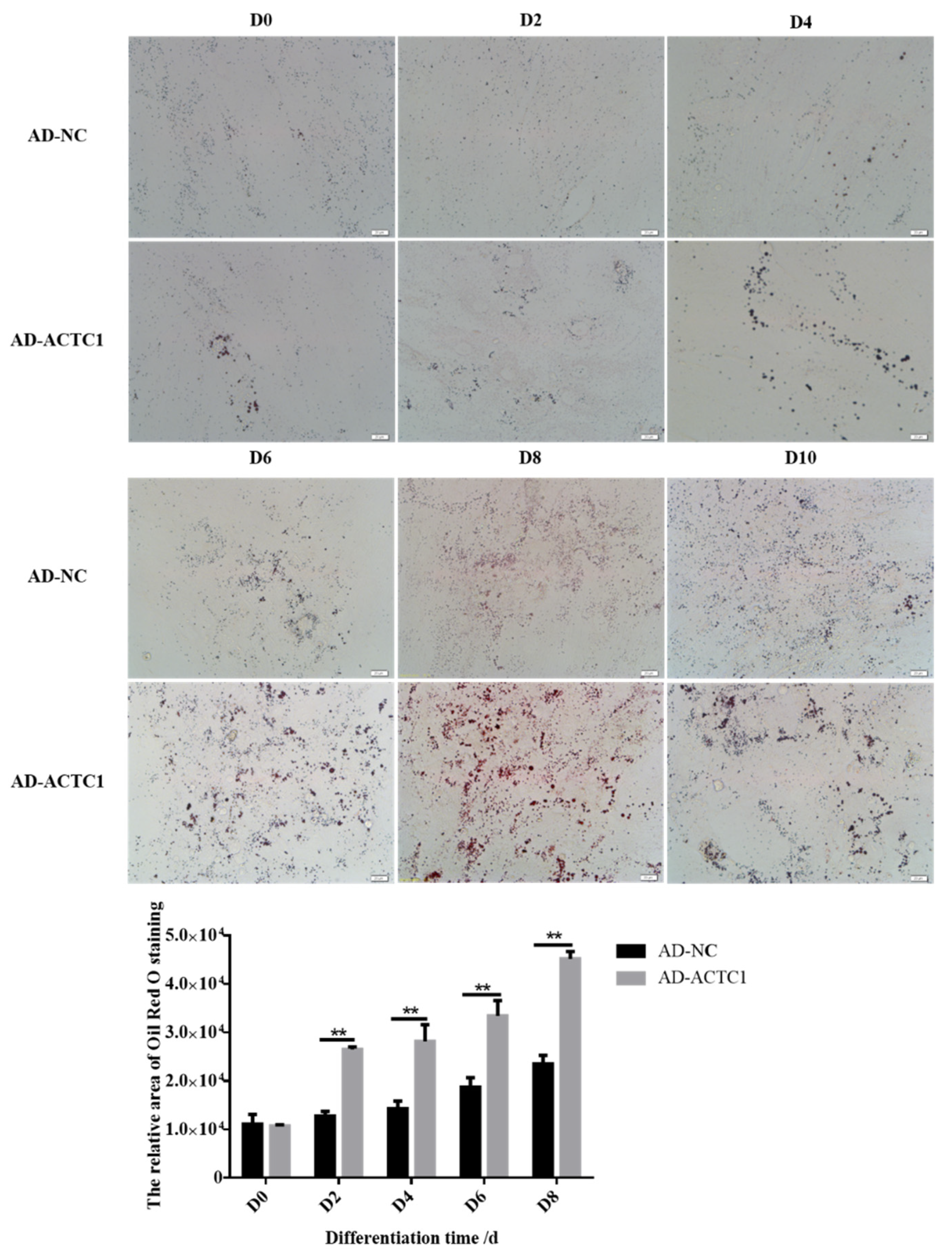 Animals 11 03468 g009