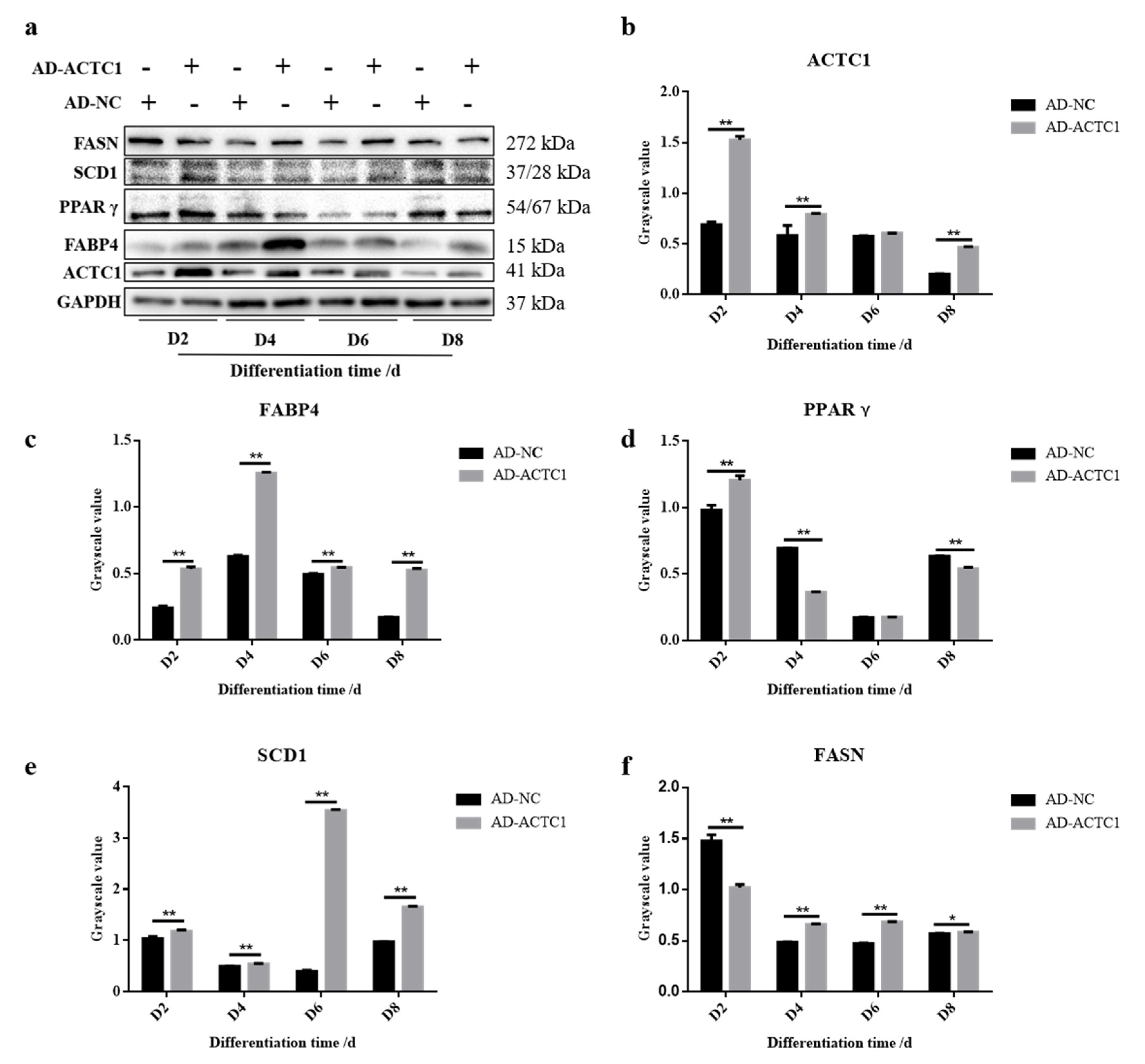 Animals 11 03468 g011