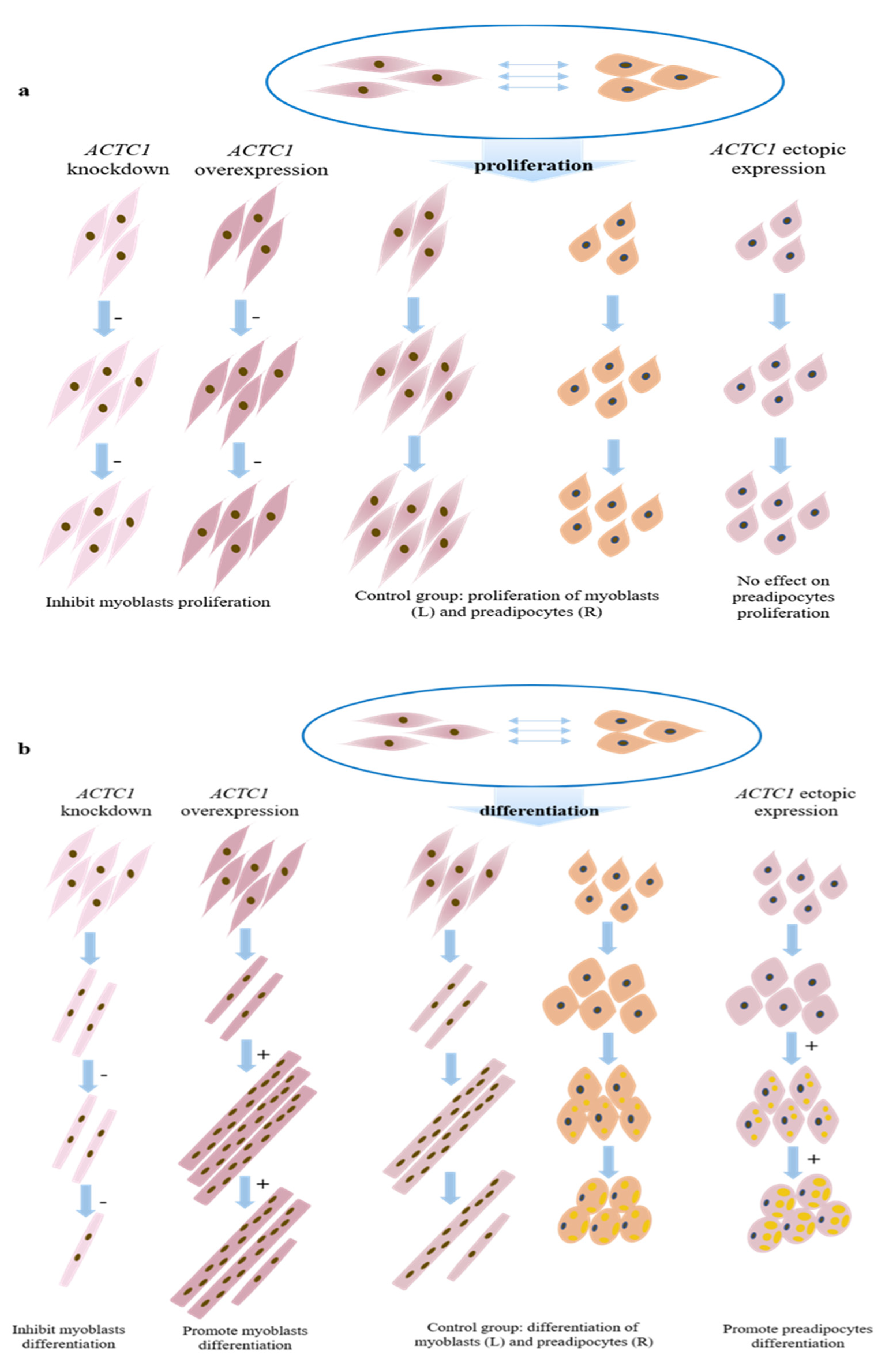 Animals 11 03468 g013