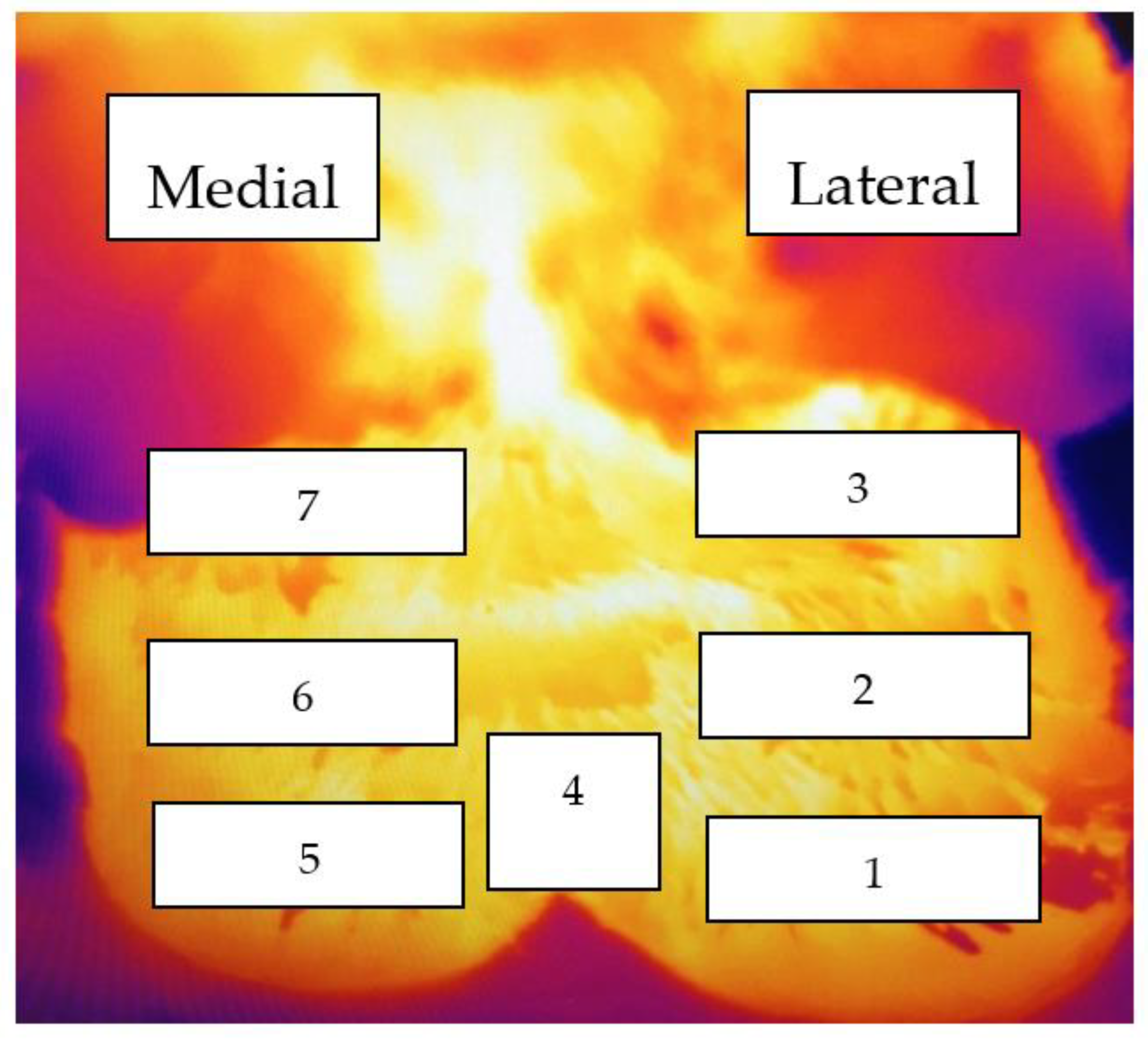 https://www.mdpi.com/animals/animals-11-03473/article_deploy/html/images/animals-11-03473-g001.png