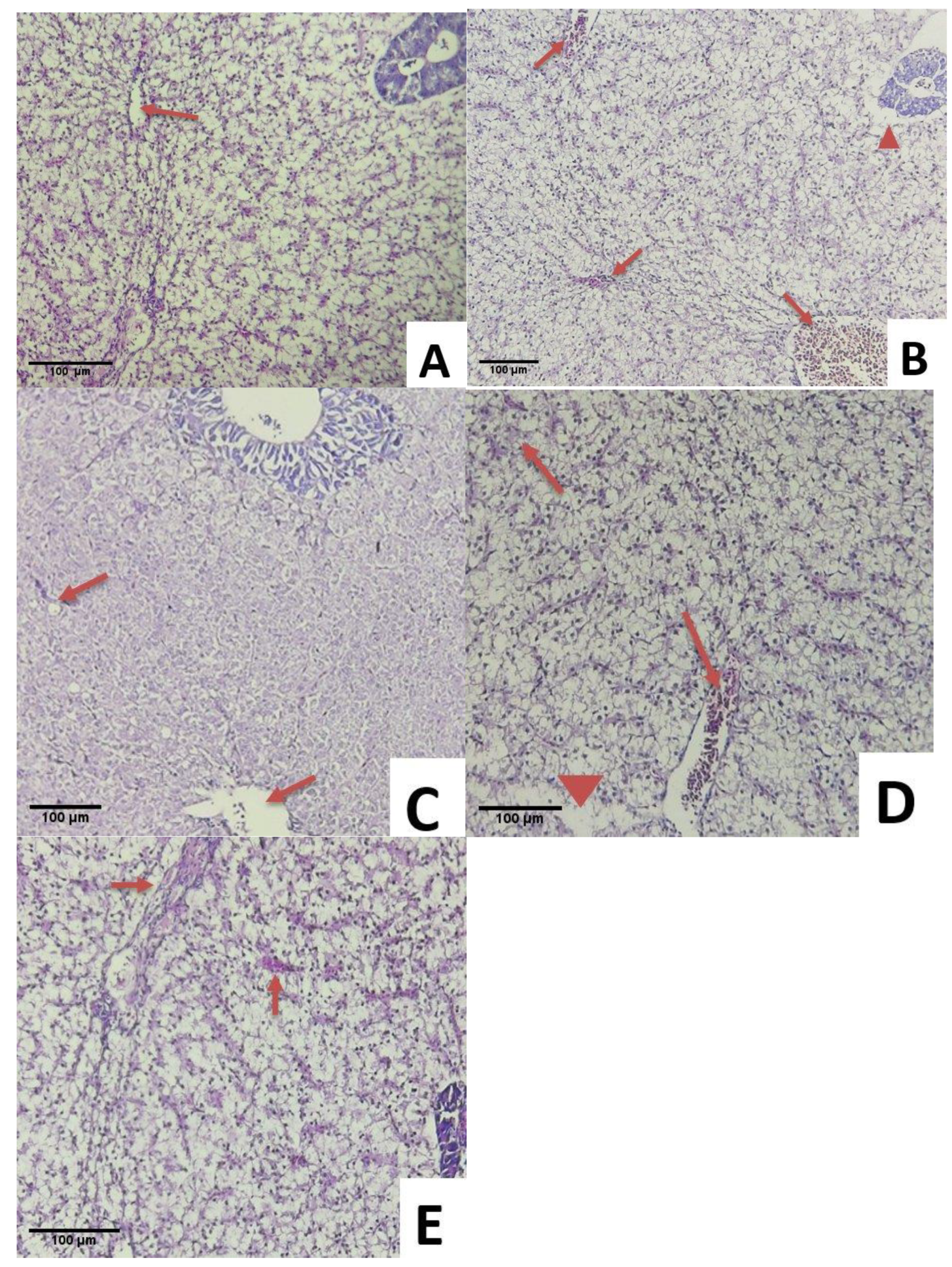 Animals 11 03514 g005