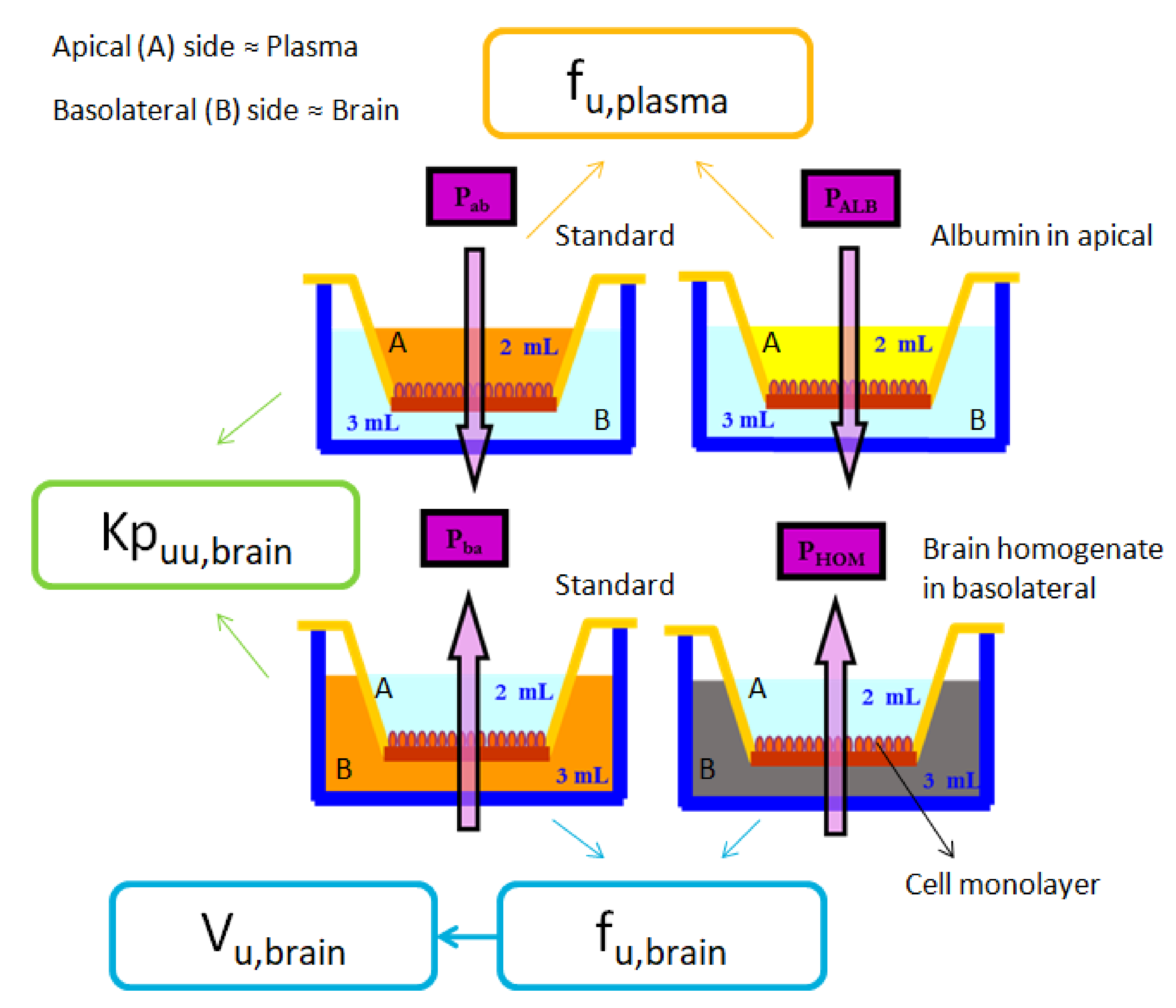 Animals 11 03521 g002