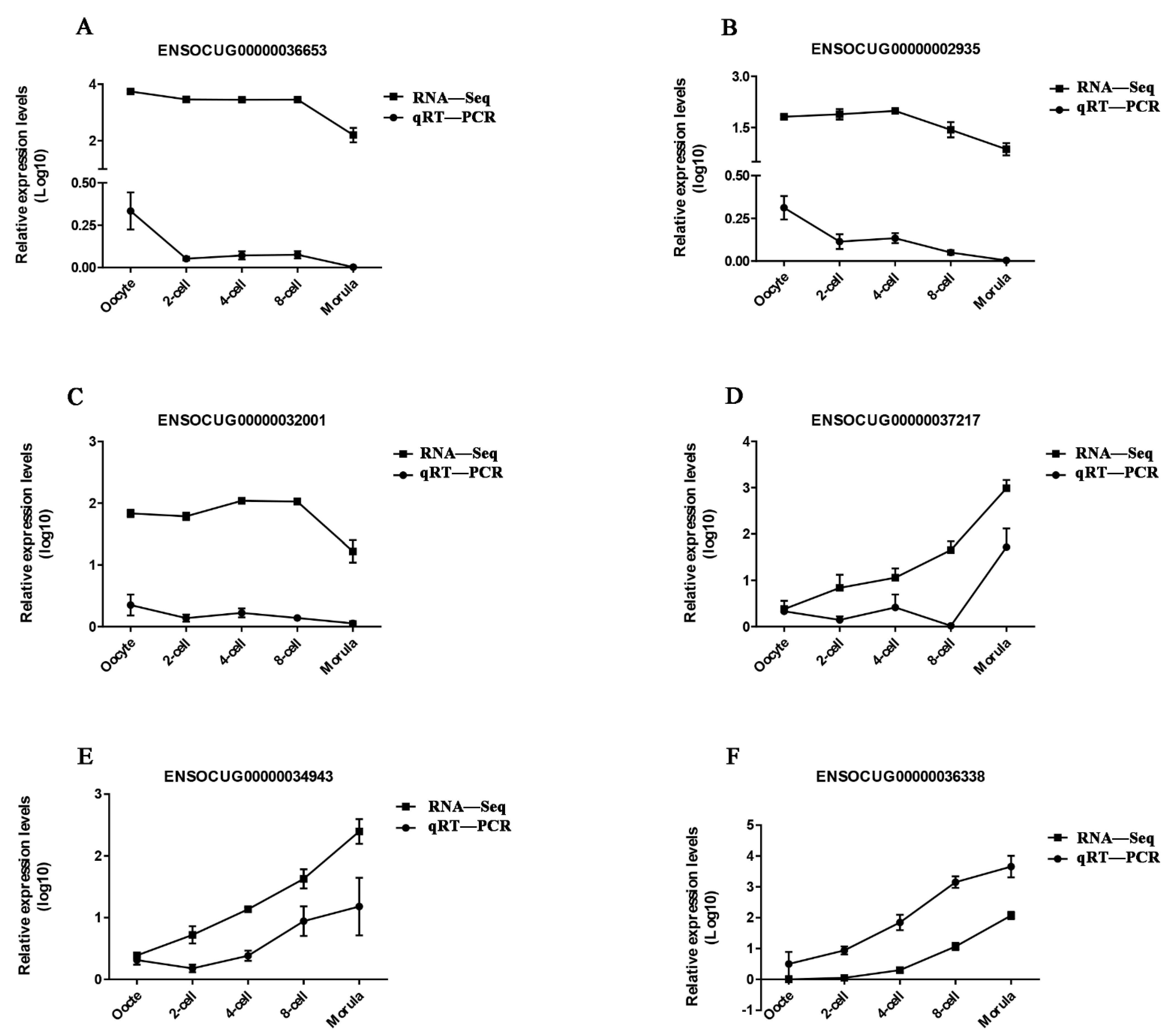 Animals 11 03592 g004