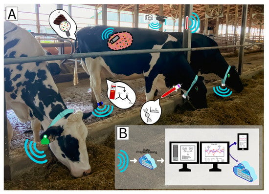 Major US project: Better cow breeding for feed efficiency - Dairy Global