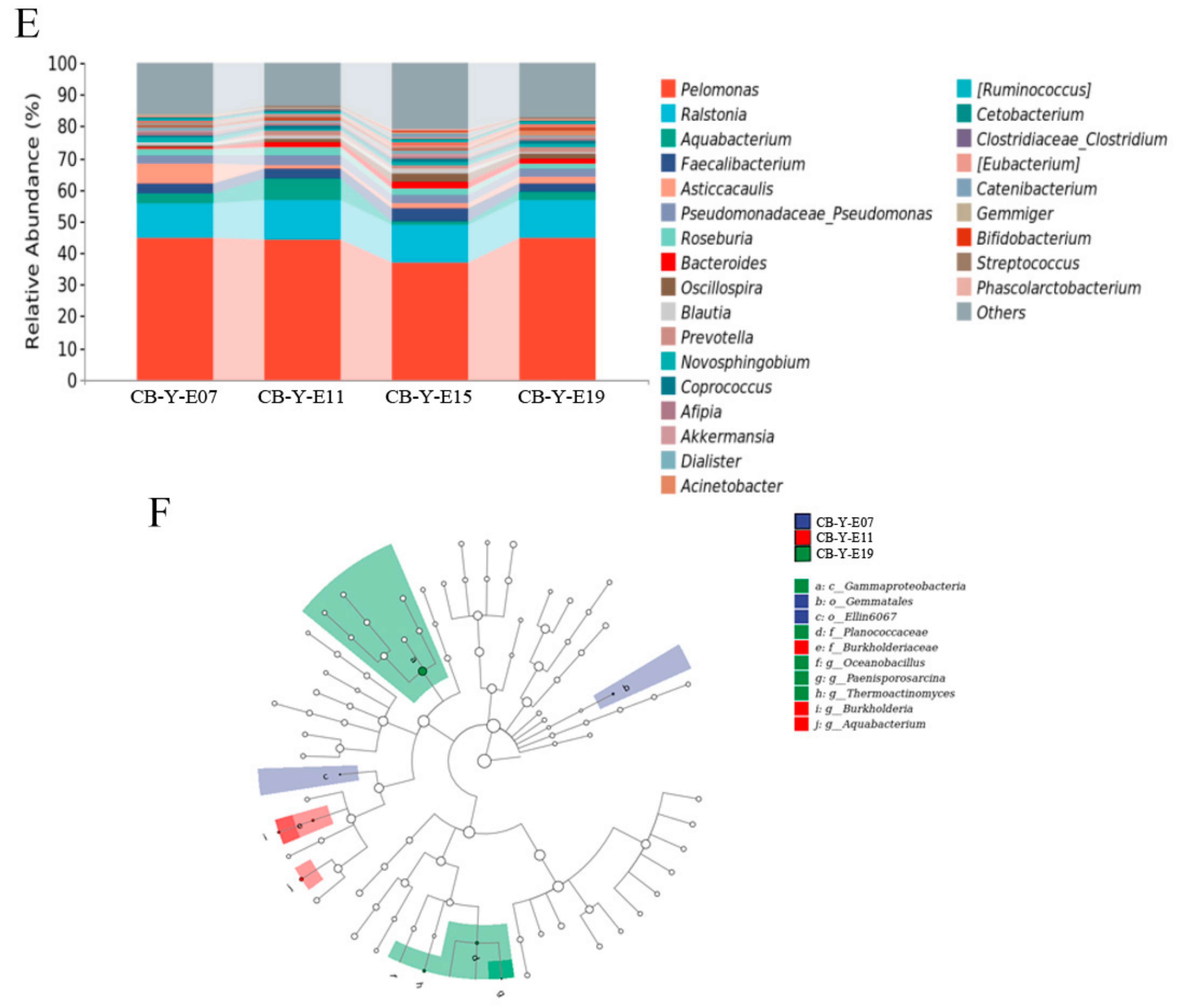 Animals 12 00016 g002b