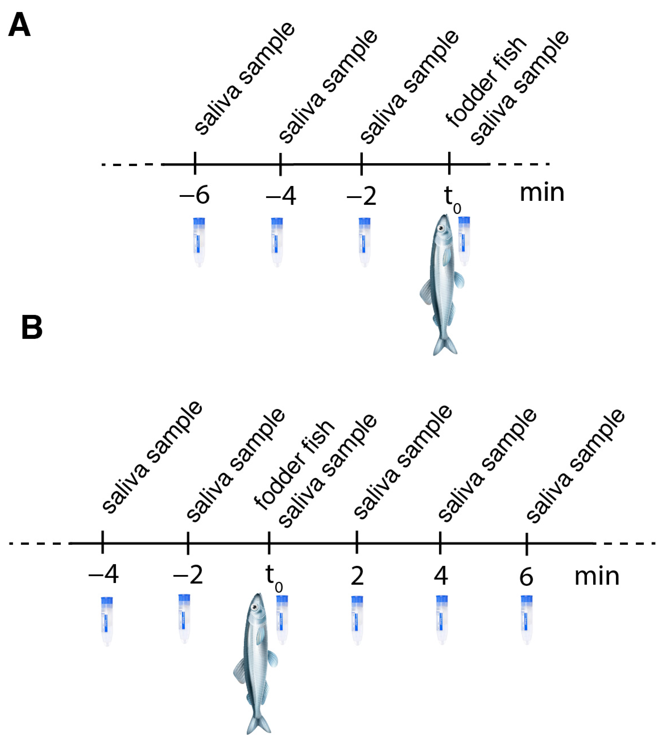 Animals 12 00022 g004