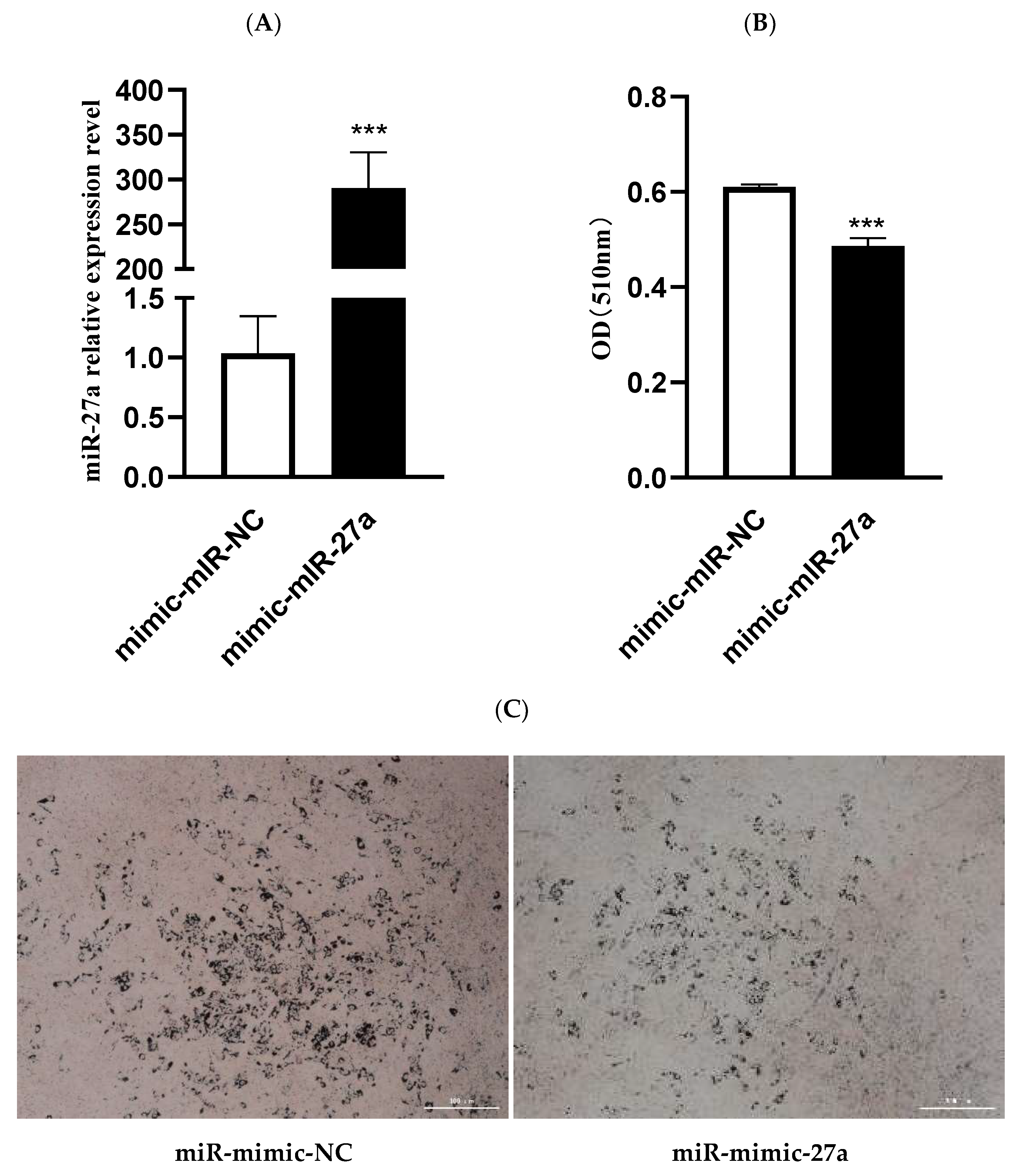 Animals 12 00028 g002