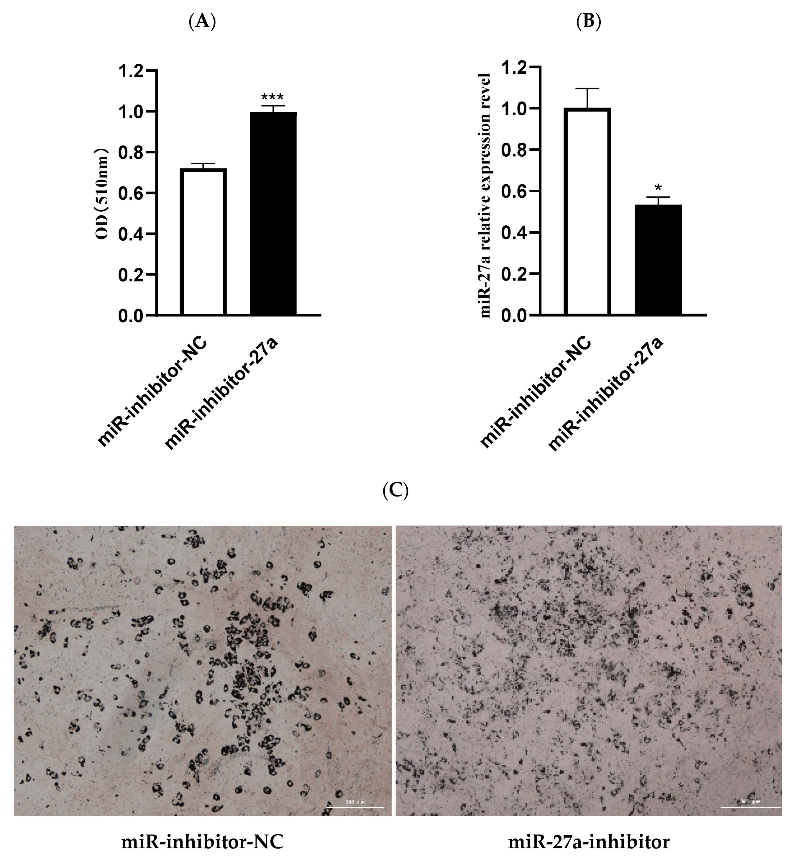 Animals 12 00028 g003