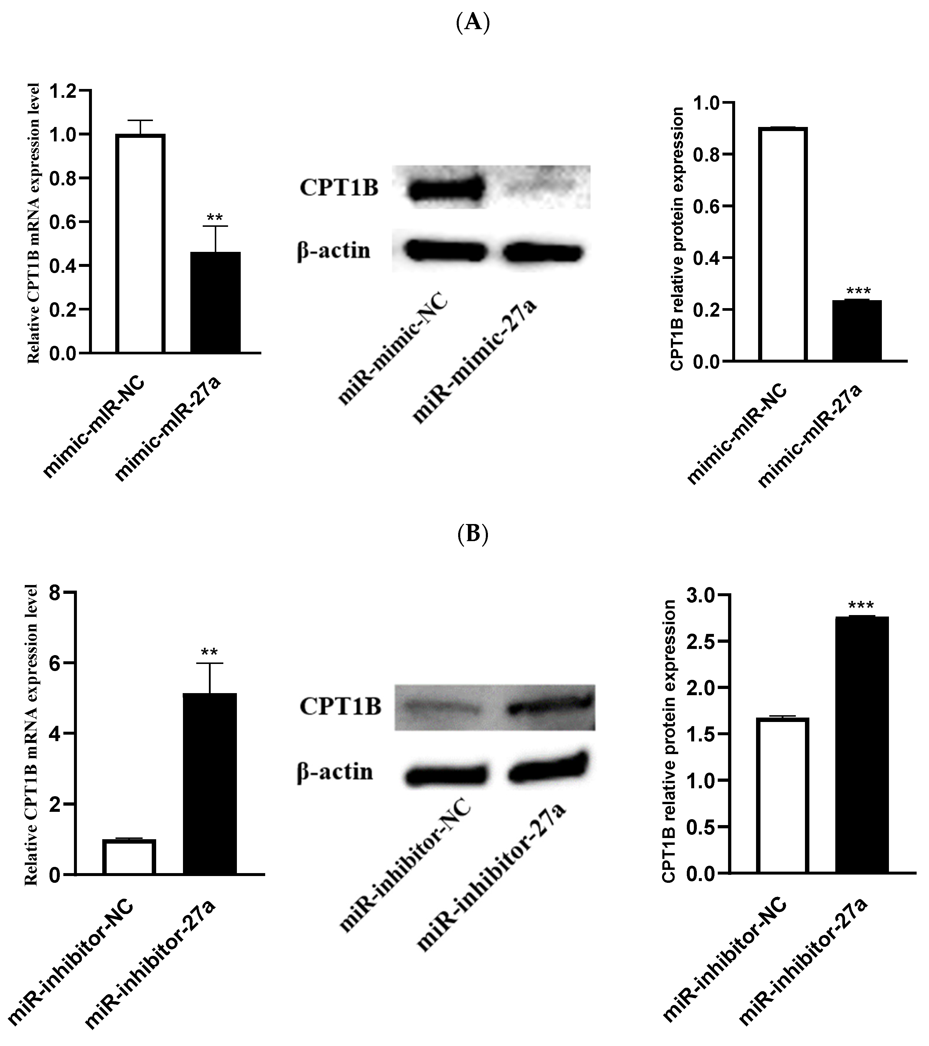 Animals 12 00028 g005