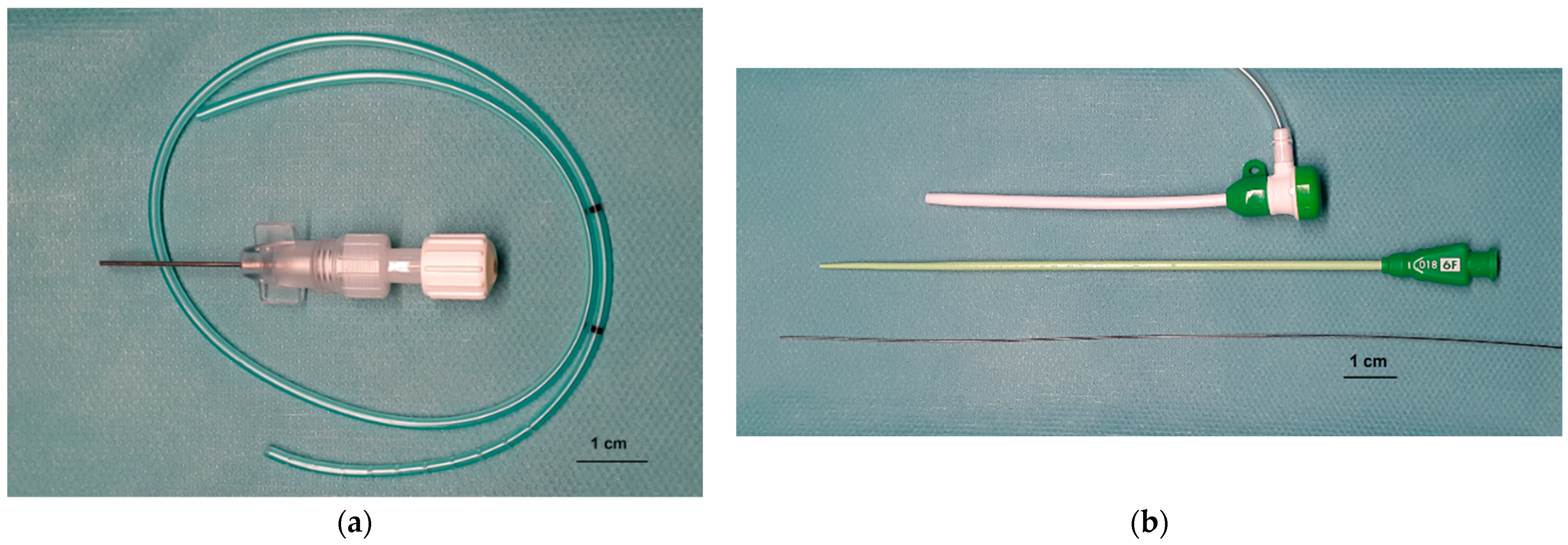 Figure 2 from Comparison of biofragmentable anastomosis ring and sutured  anastomoses for subtotal colectomy in cats with idiopathic megacolon. |  Semantic Scholar