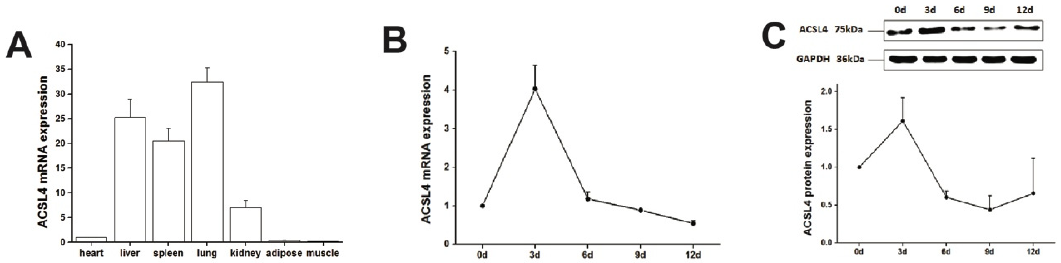 Animals 12 00119 g002