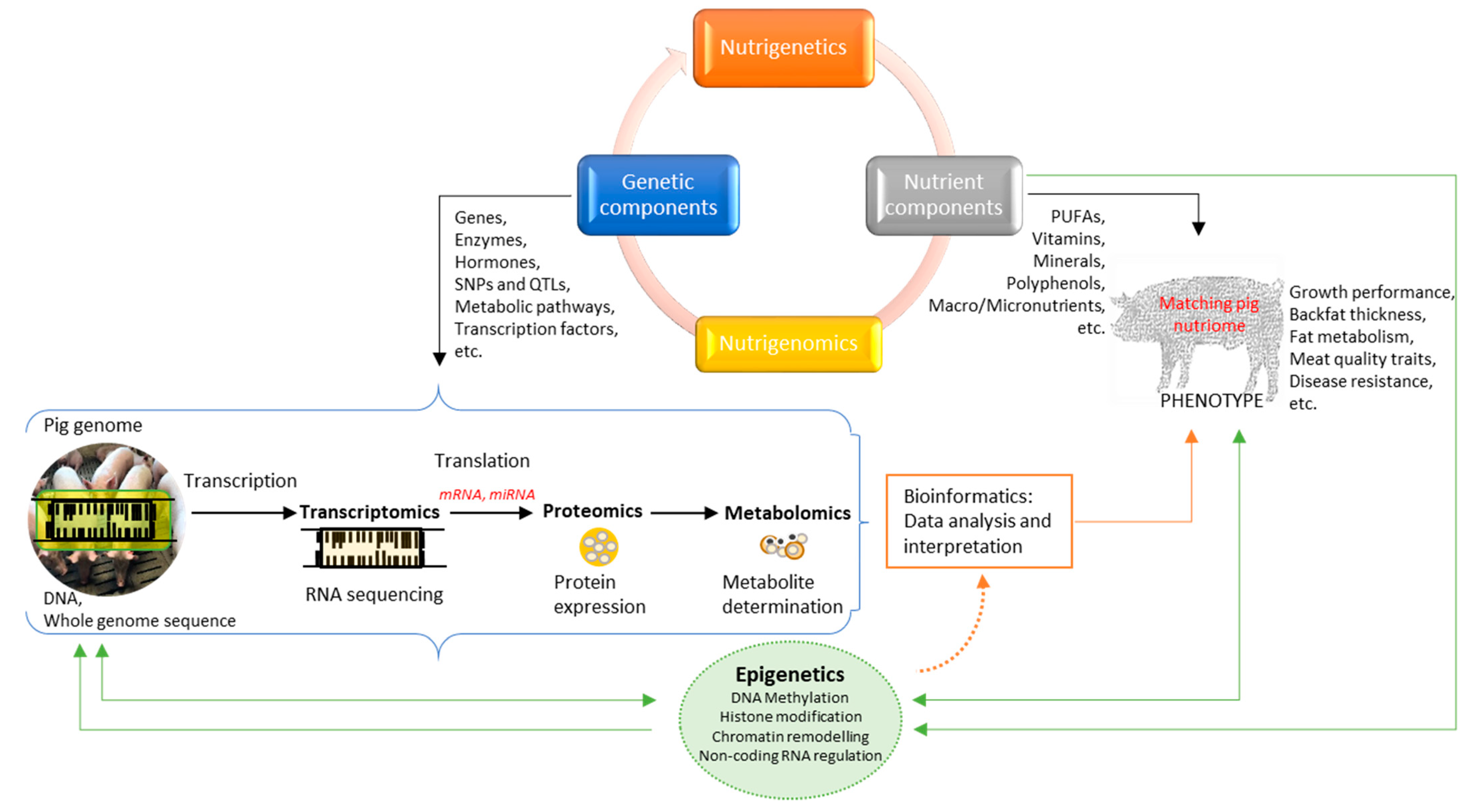 Animals 12 00150 g004