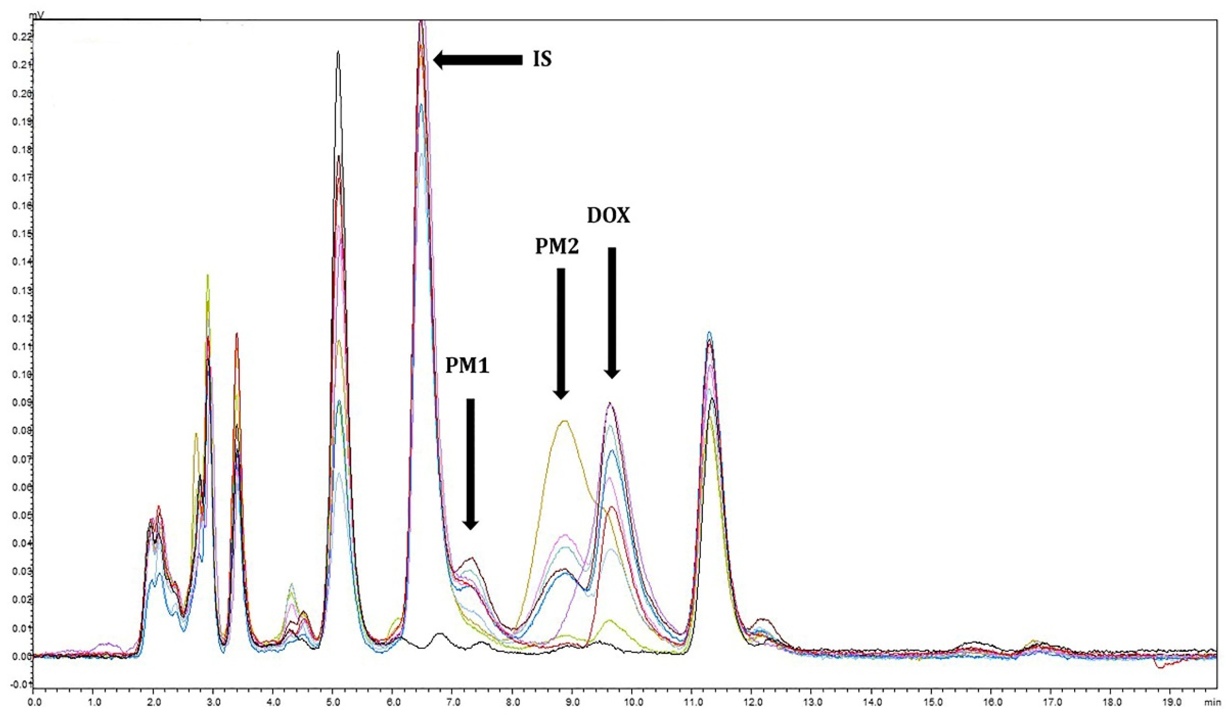 Animals 12 00250 g002
