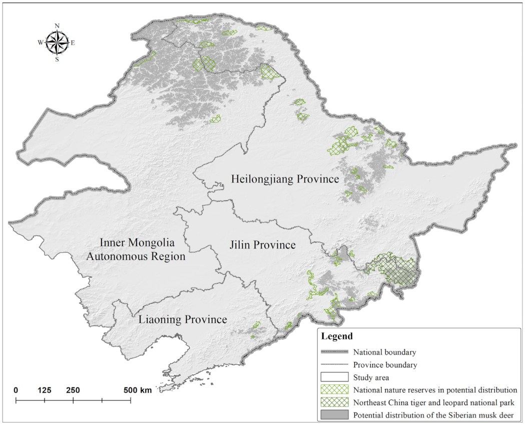 Animals 12 00260 g002