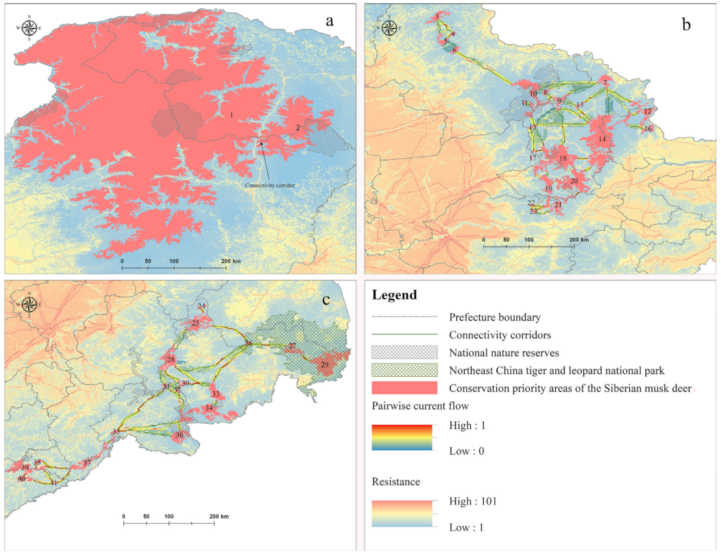 Animals 12 00260 g004