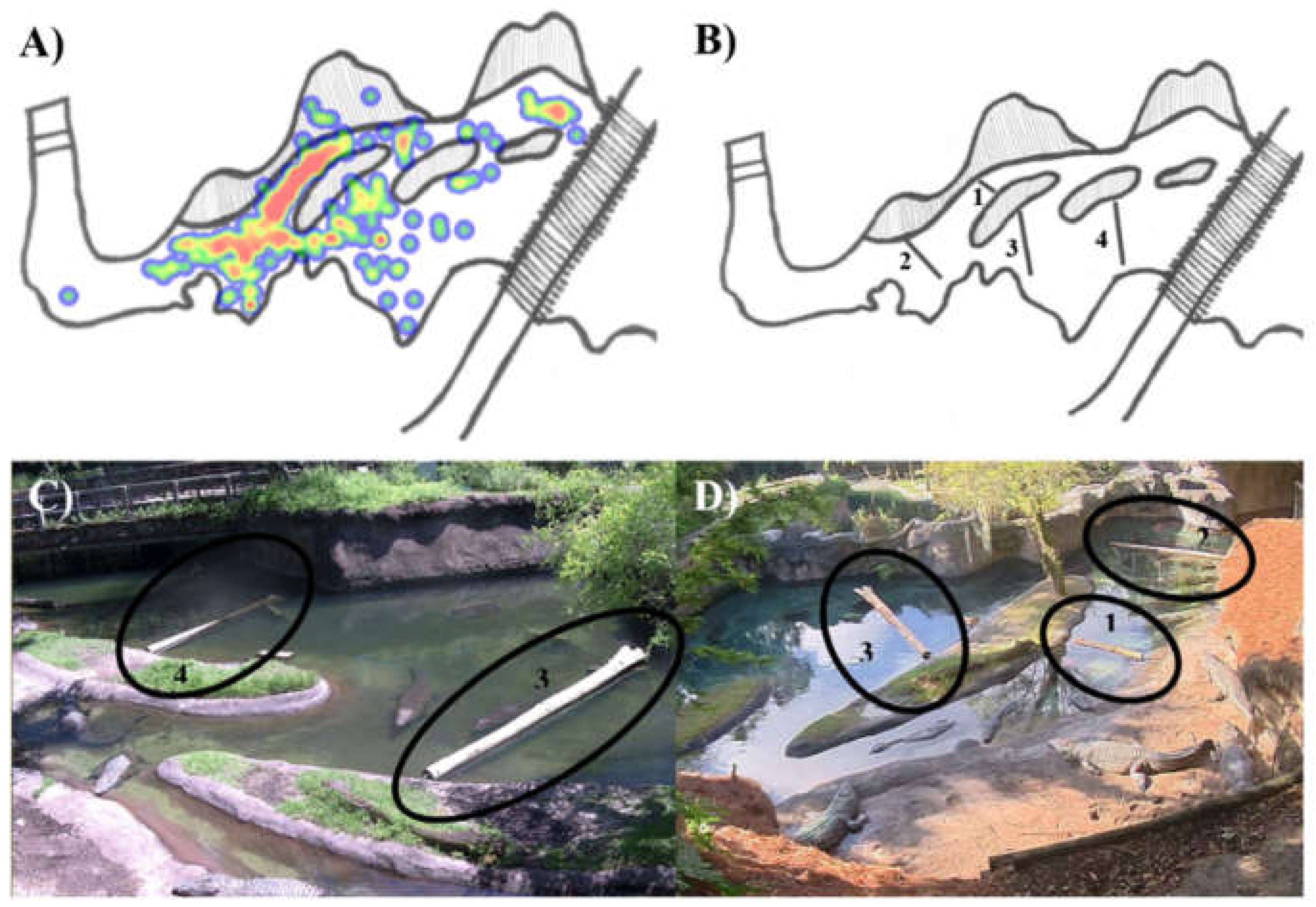 Animals 12 00269 g001