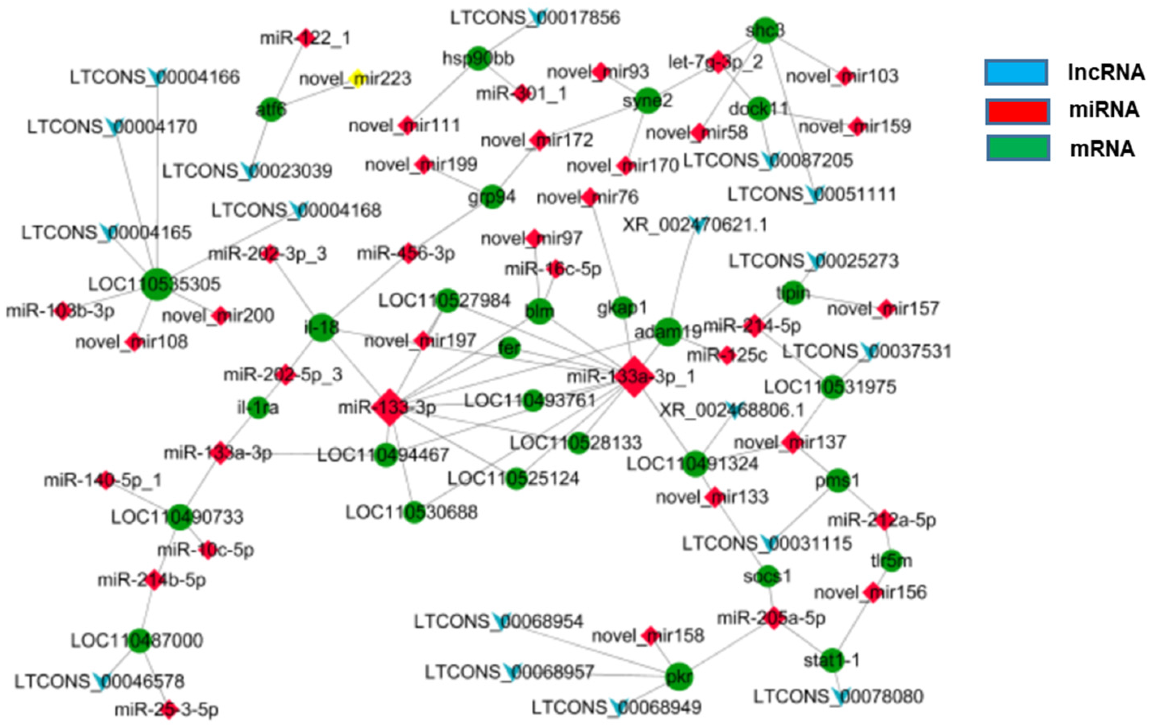 Animals 12 00325 g005